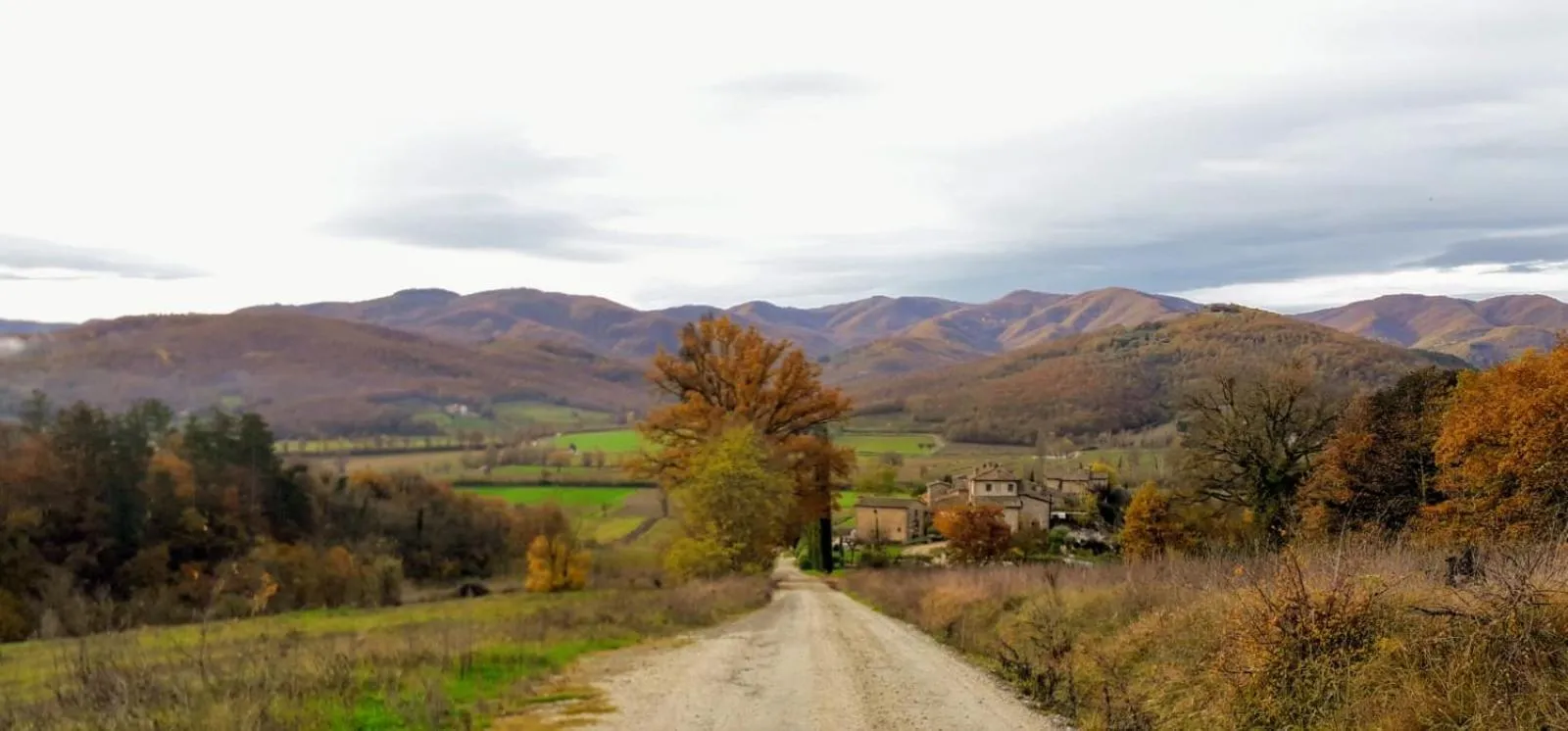 Natural landscape in Tinaia