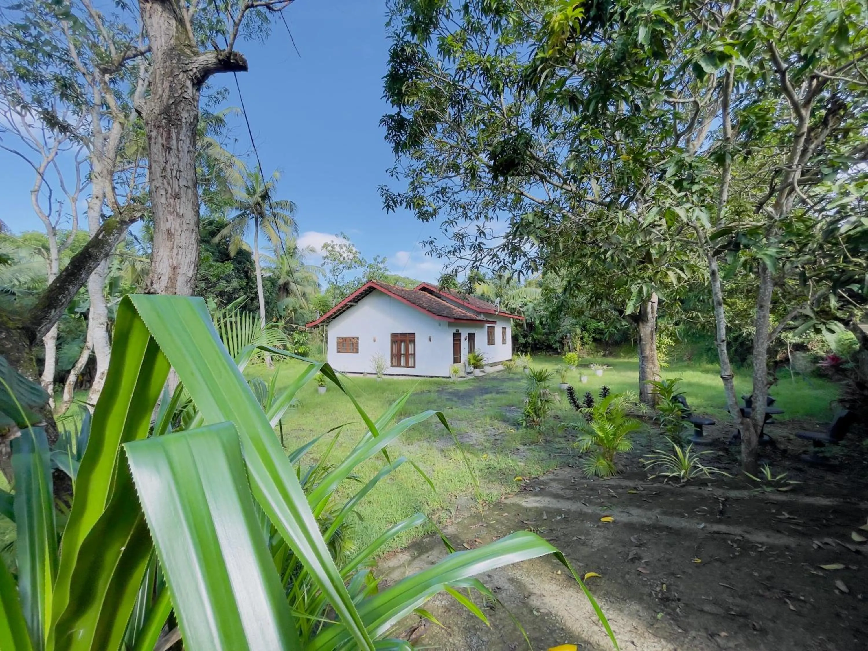 Riverside Nature Haven Villa