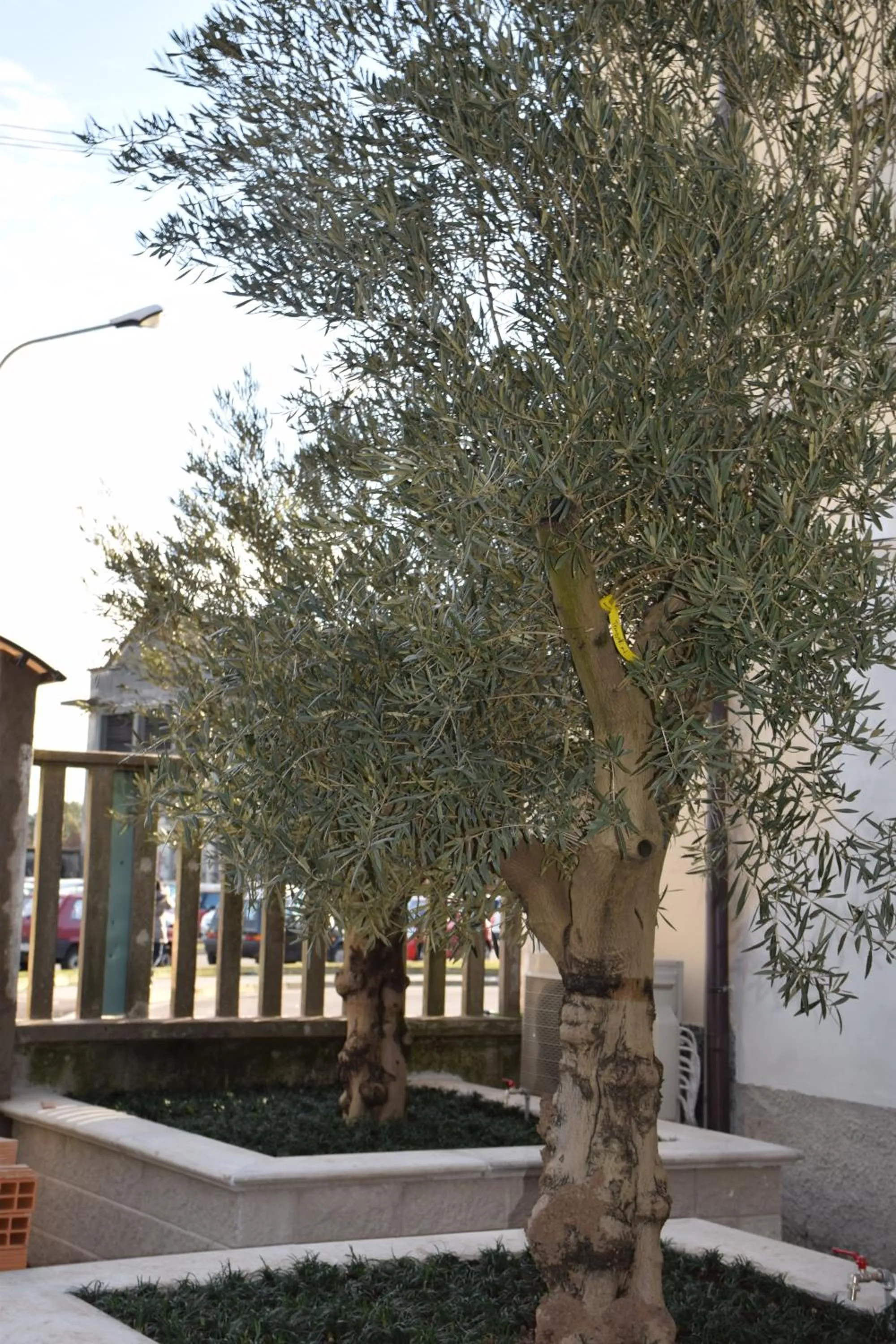 Other in B&B Leonardo