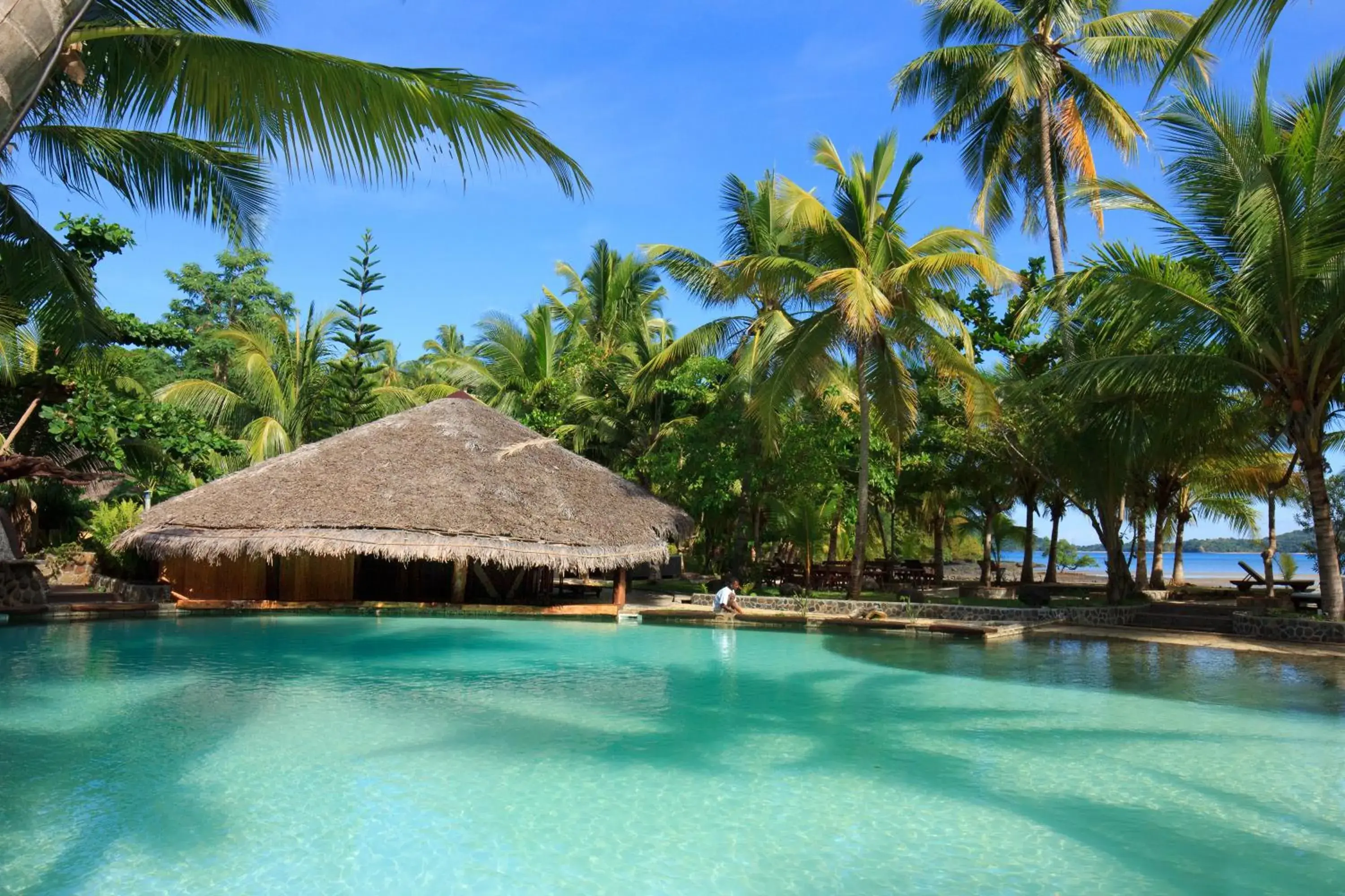 Swimming pool in Ravintsara Wellness Hotel Swimming pool in Ravintsara Wellness Hotel