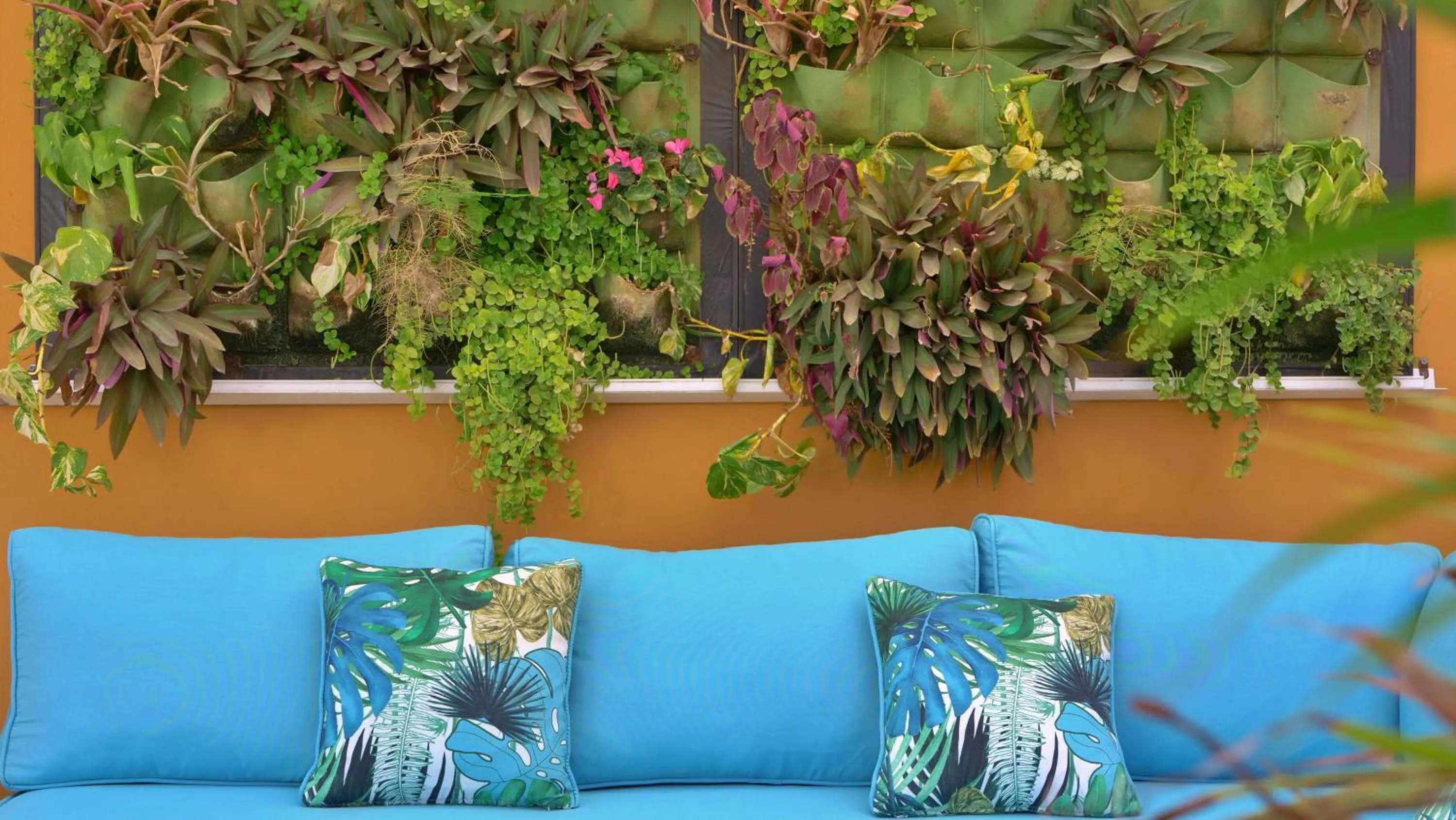 Garden in Bungalows Los Almendros - Exclusive Vacation Club