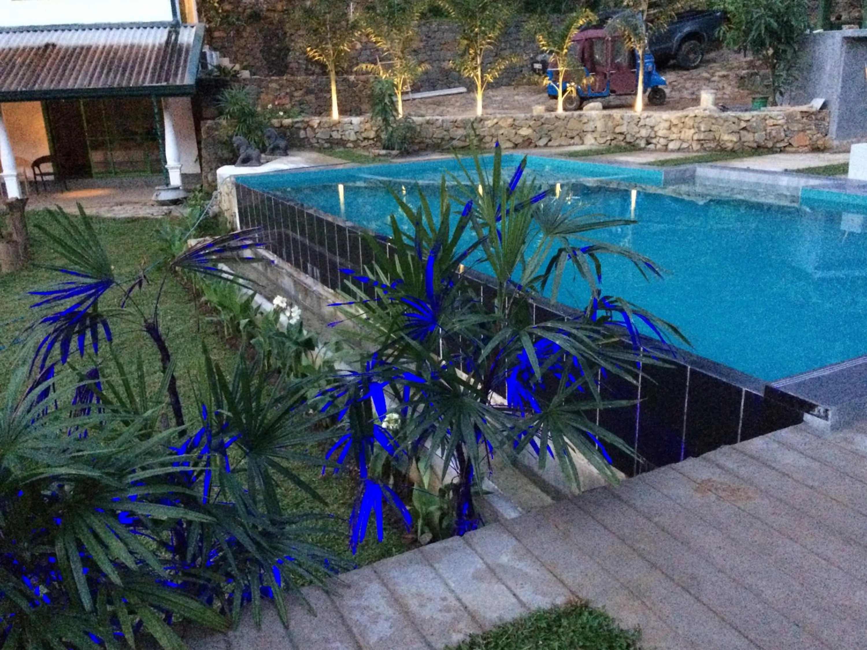 Swimming pool in Sinharaja Hostel