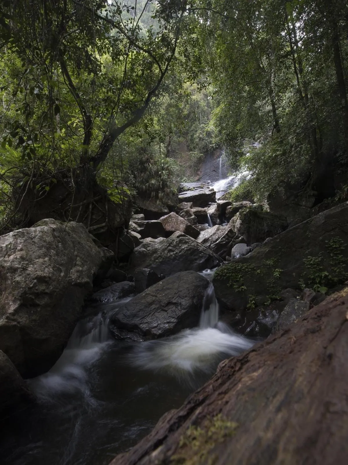 Property building in Sinharaja Hostel