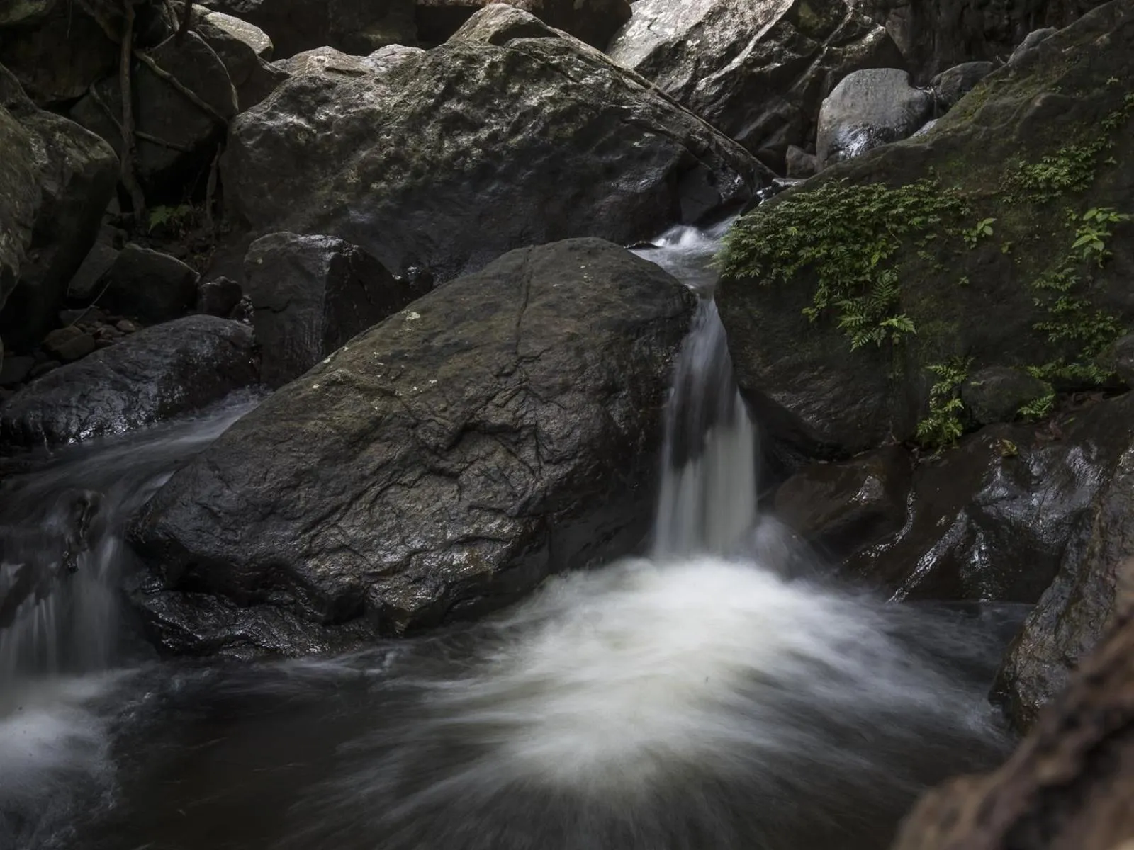 Property building in Sinharaja Hostel