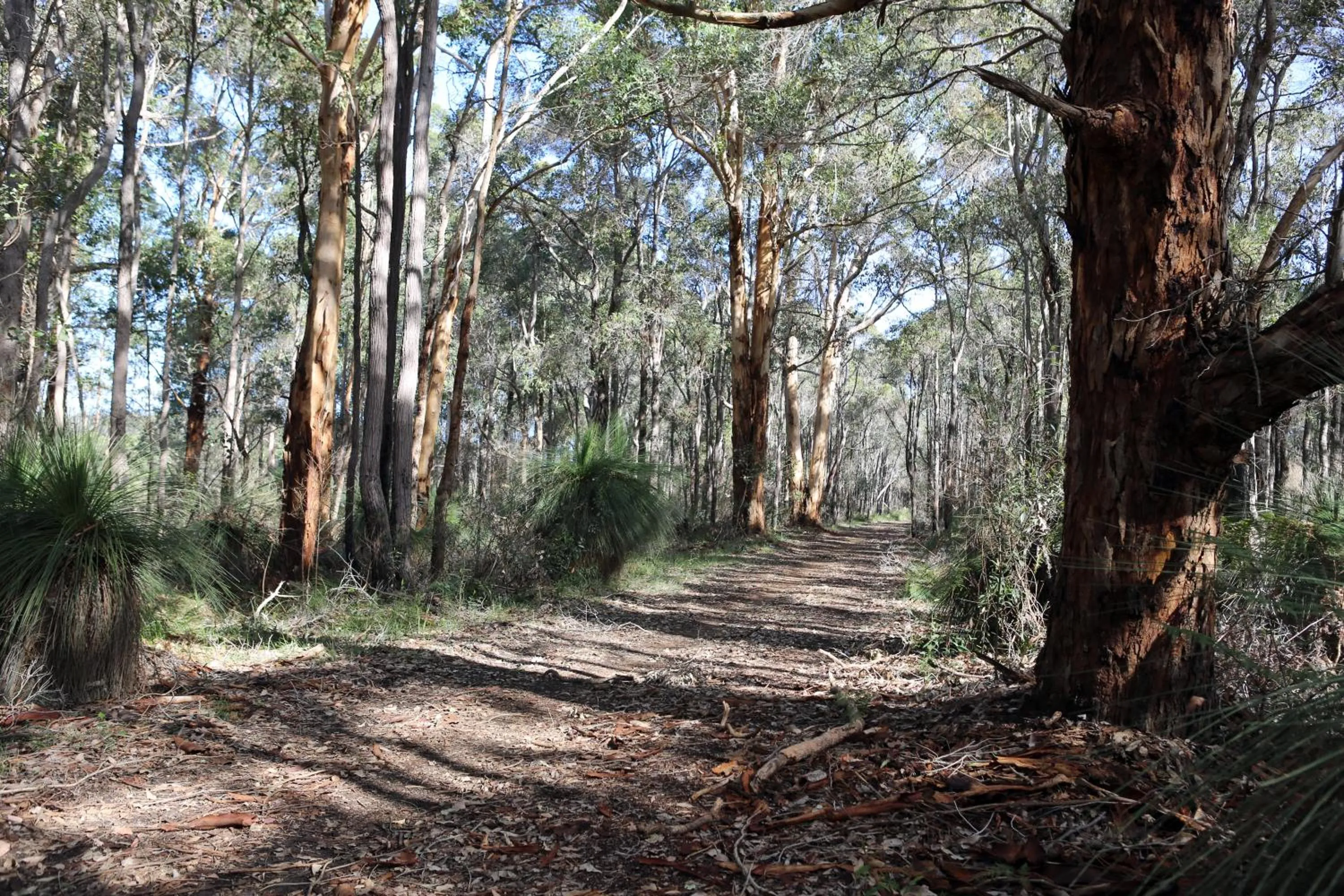 Hiking in Ellensbrook Cottages