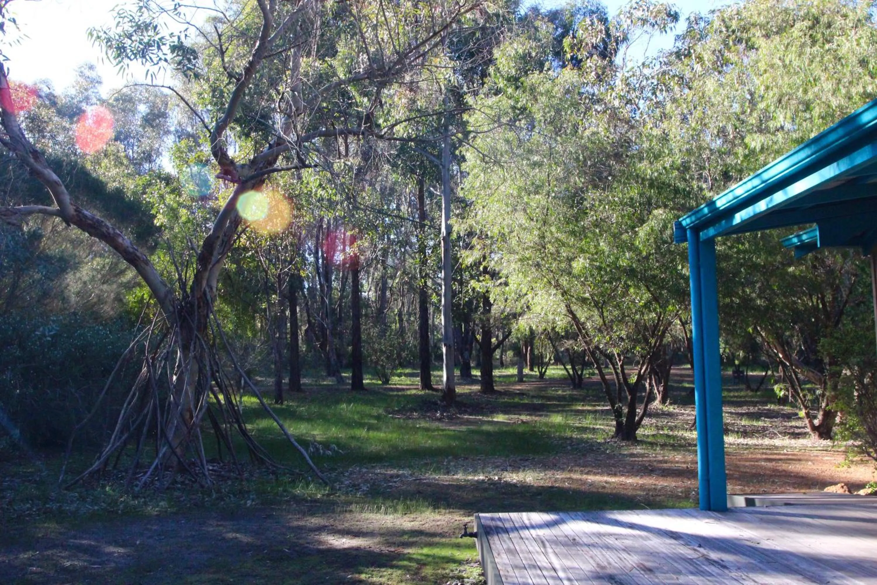 Garden in Ellensbrook Cottages