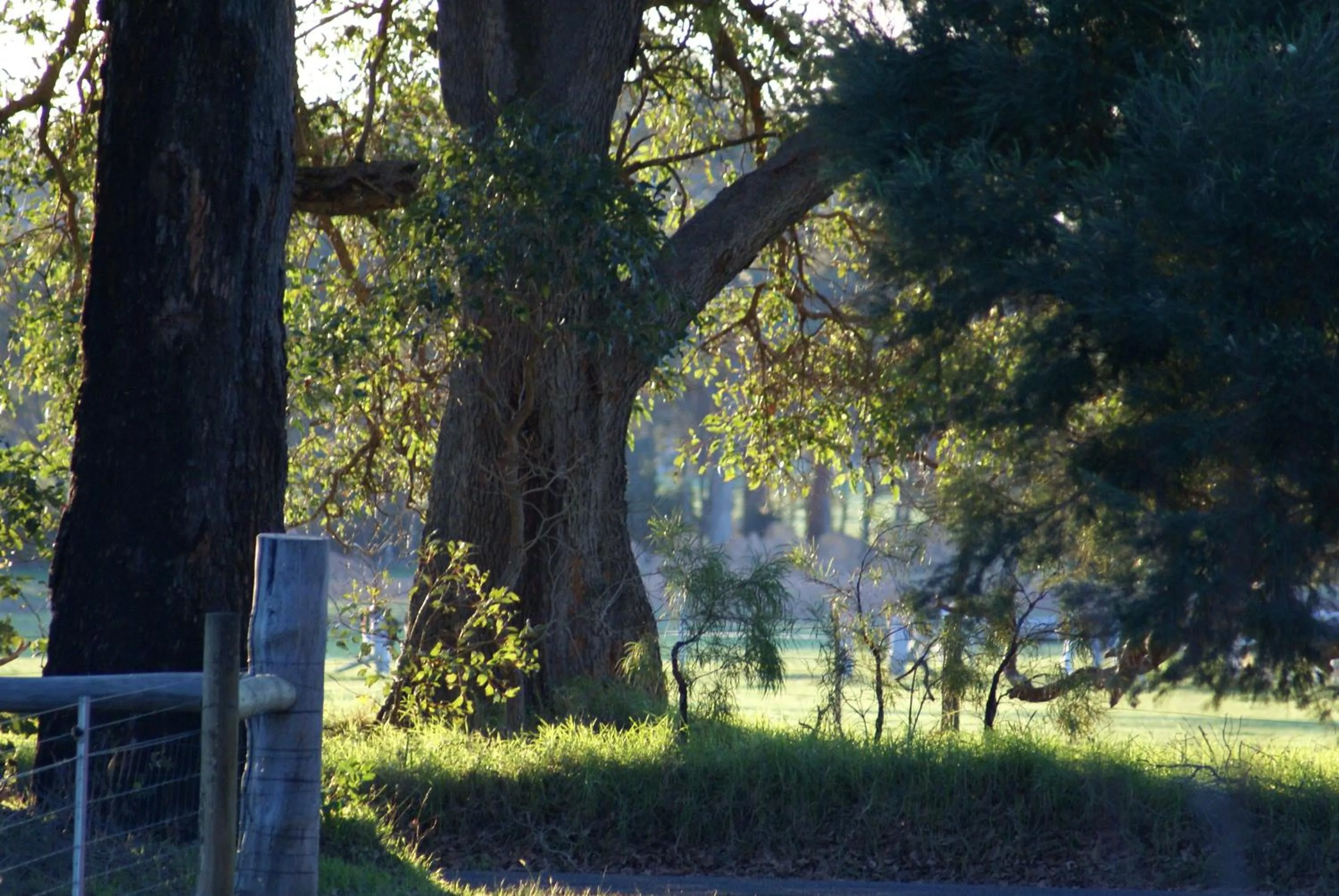 Natural landscape in Ellensbrook Cottages