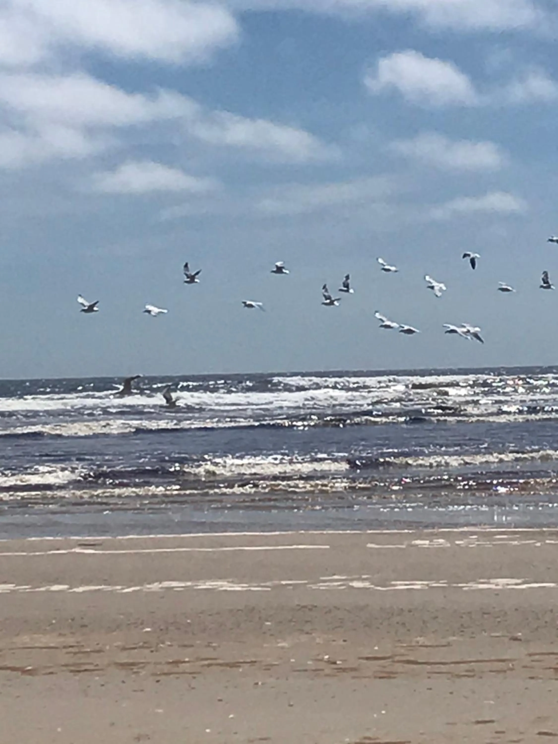 Beach in Wheelhouse Apartments