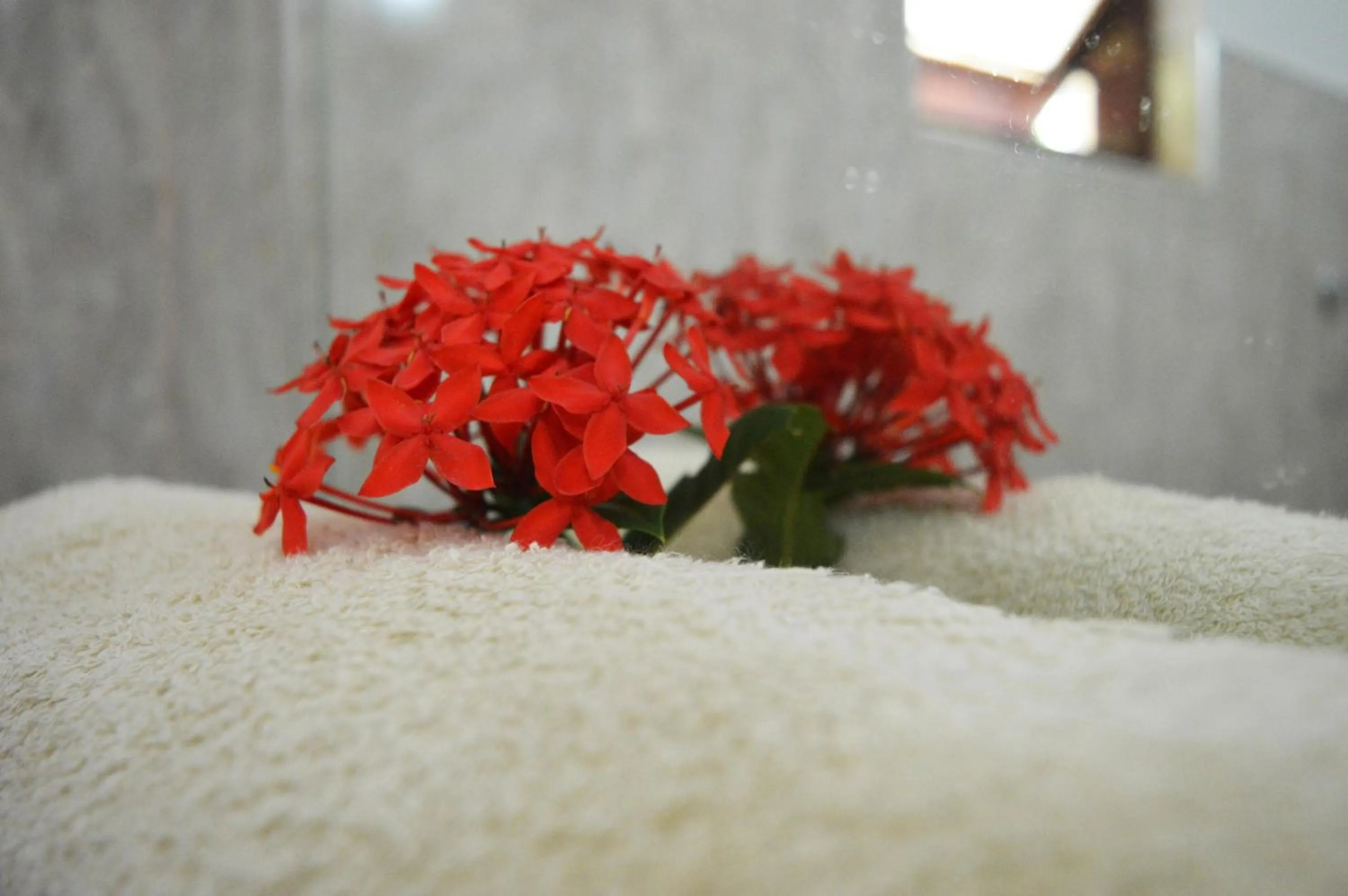 Decorative detail in Binara Home Stay