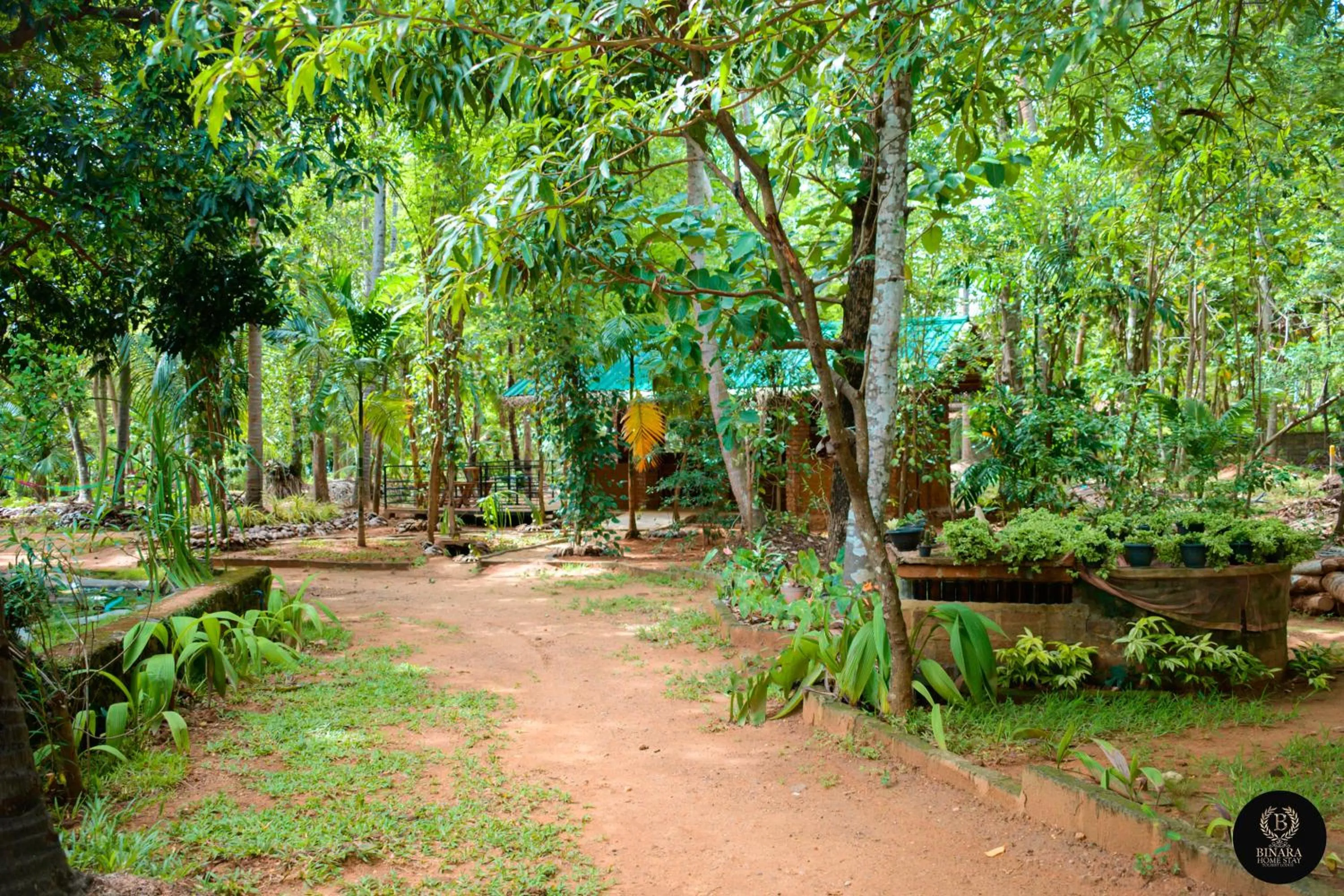 Garden in Binara Home Stay