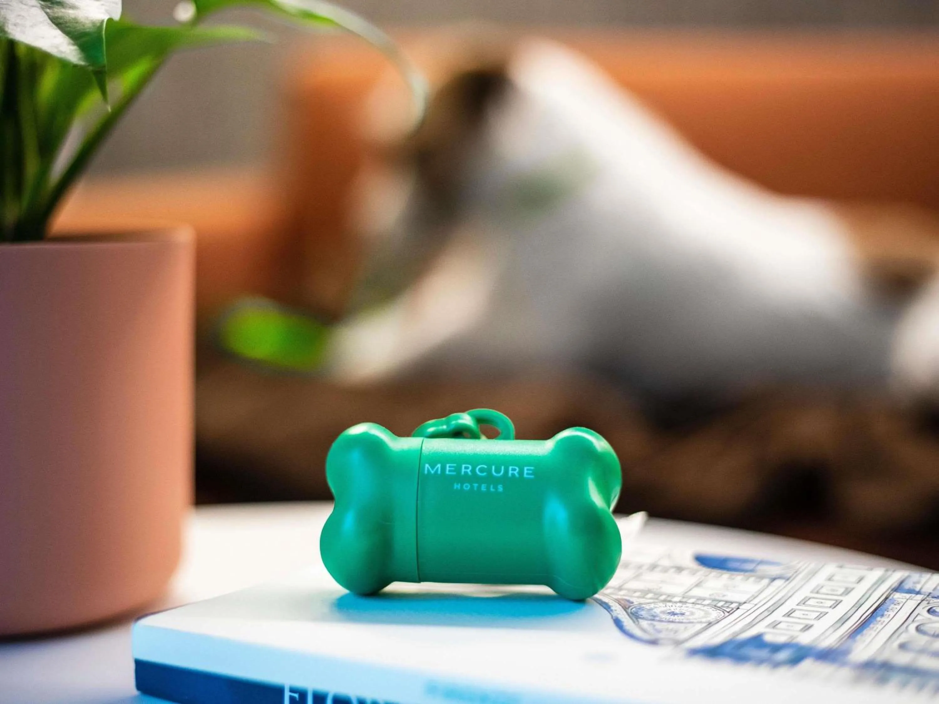 Other in Mercure Firenze Centro