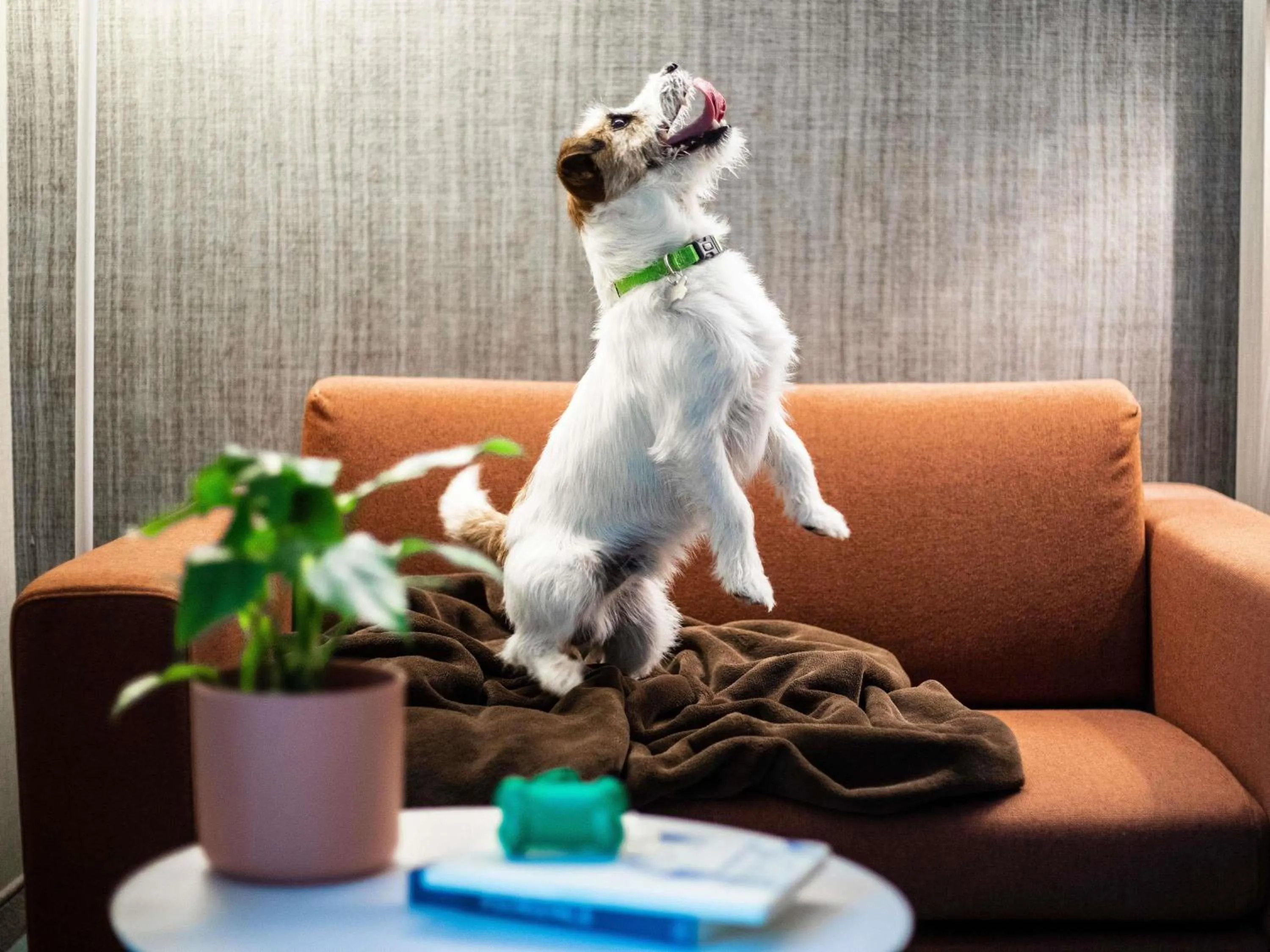 Property building in Mercure Firenze Centro