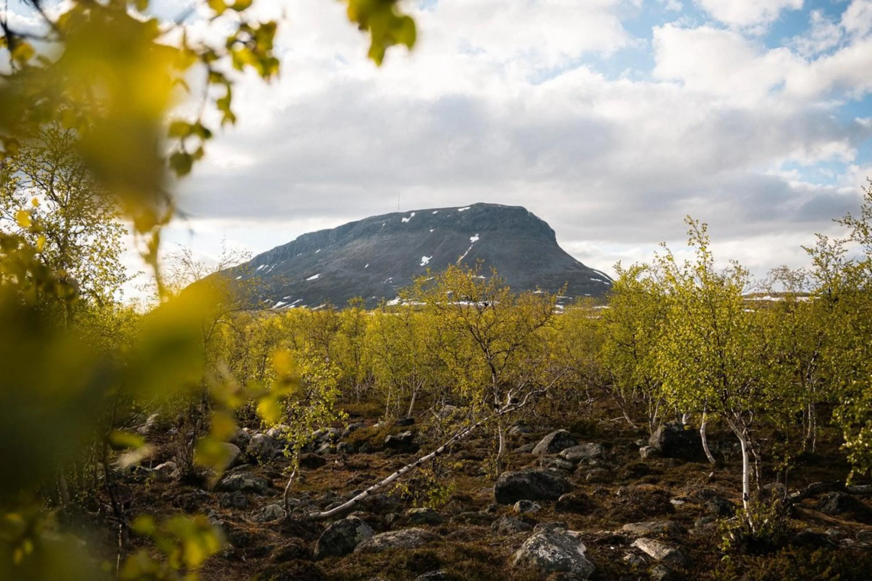 Natural landscape in Santa's Hotel Rakka
