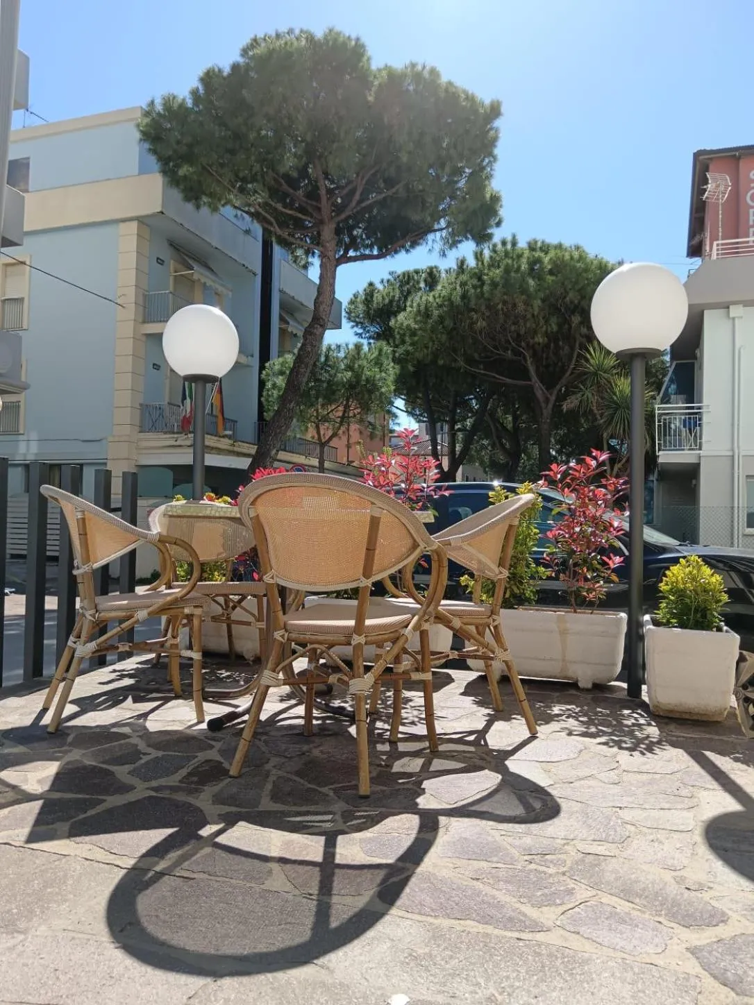 Hotel New Arpa