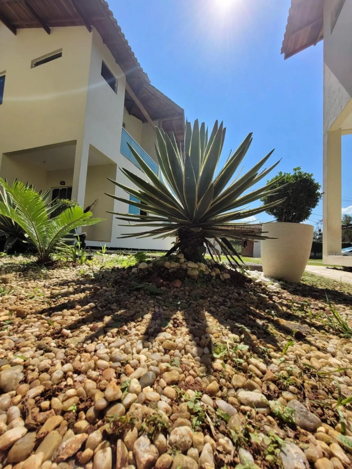 Garden in Mares de Camburizinho