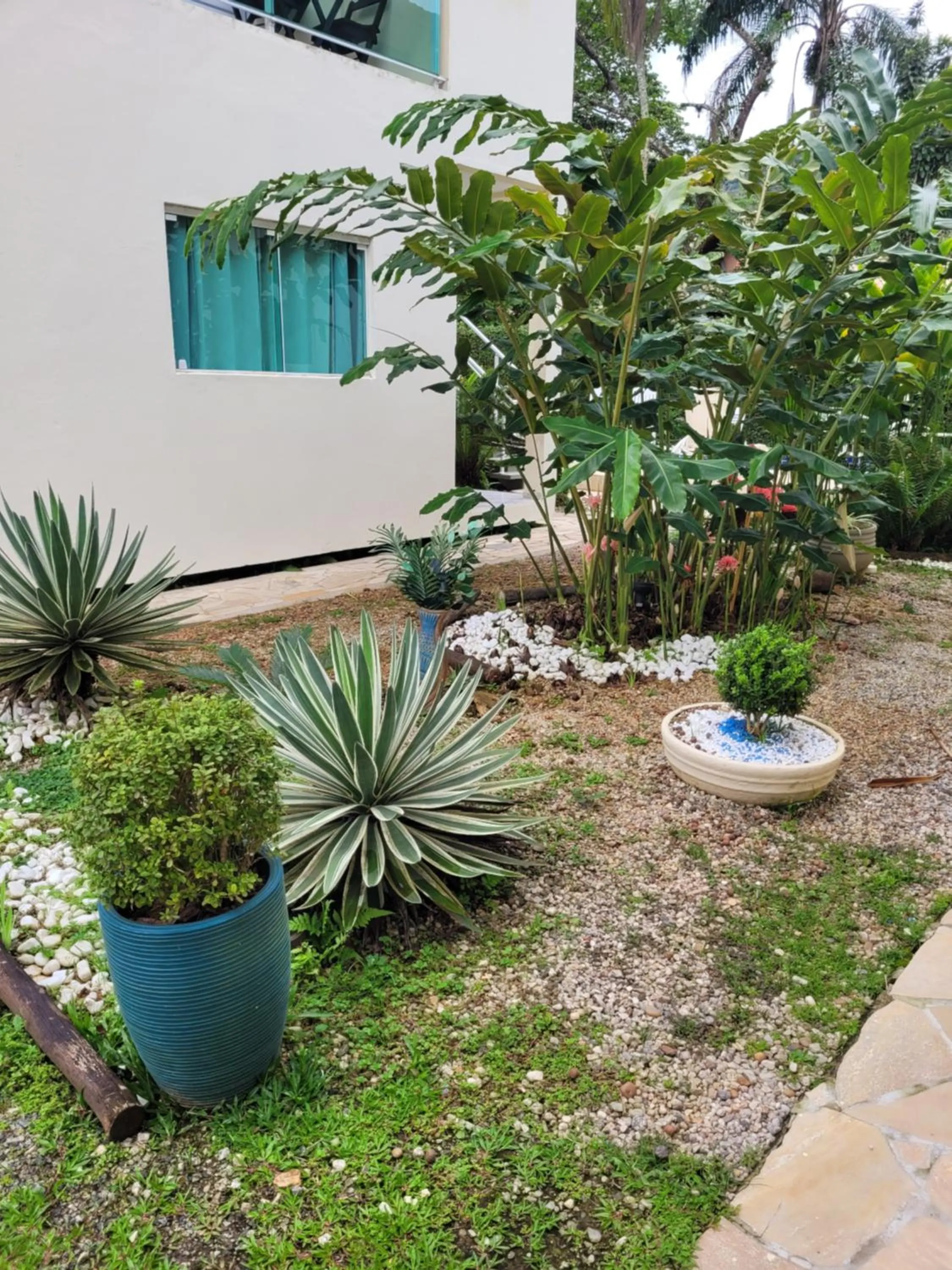 Garden in Mares de Camburizinho
