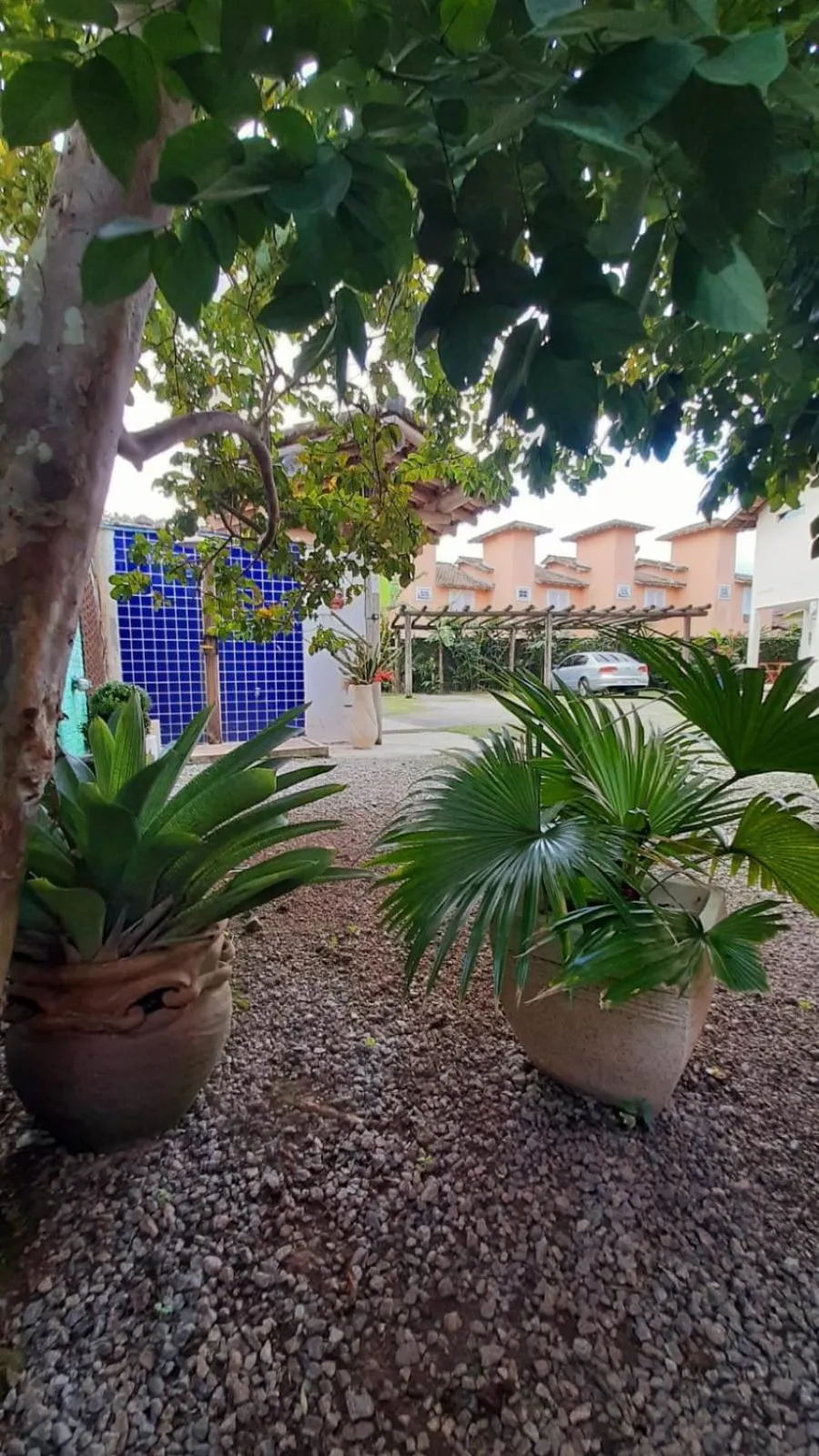 Garden in Mares de Camburizinho