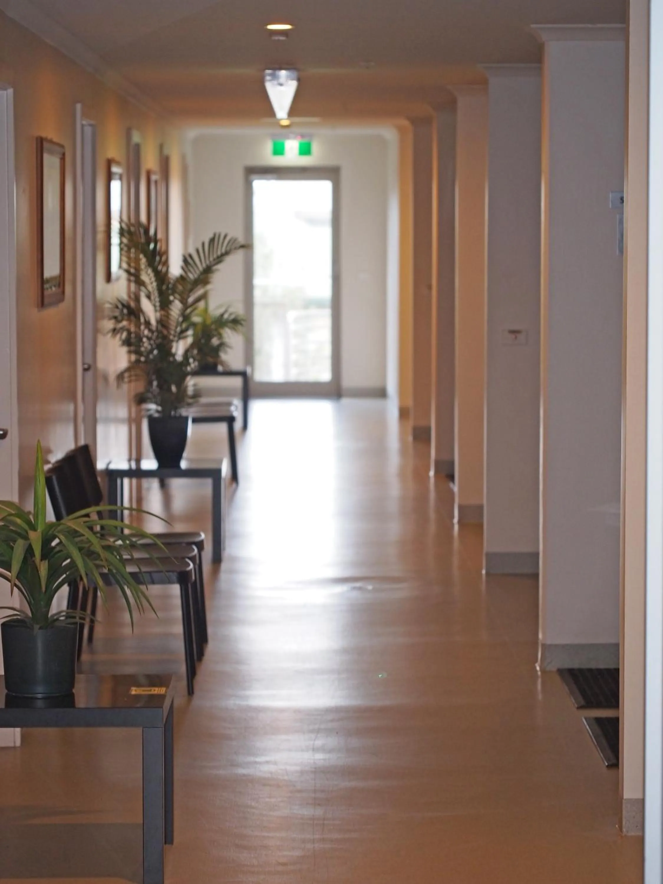 Area and facilities in Sow and Piglets Guesthouse