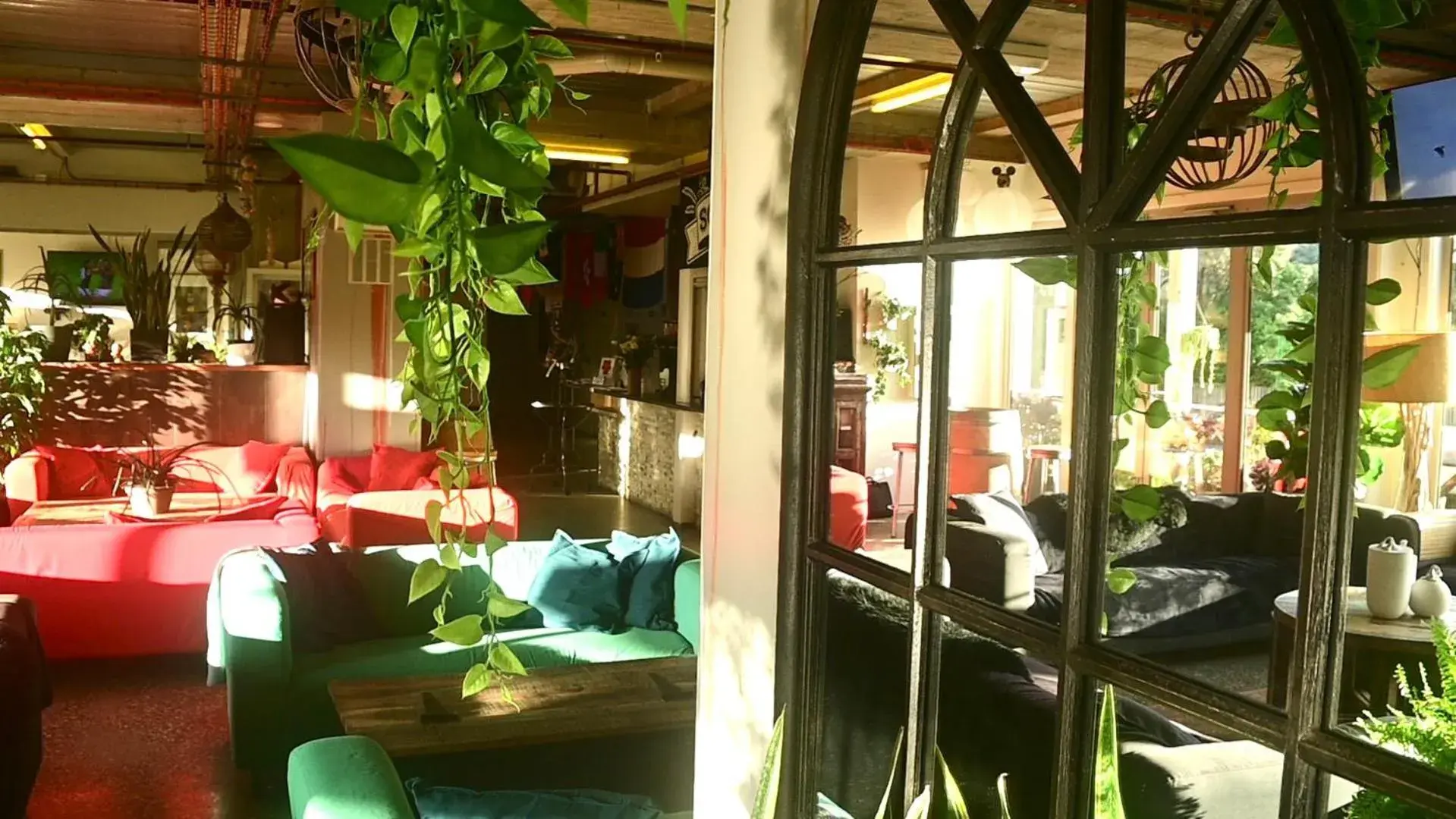 Lounge or bar in Sow and Piglets Guesthouse Lounge or bar in Sow and Piglets Guesthouse