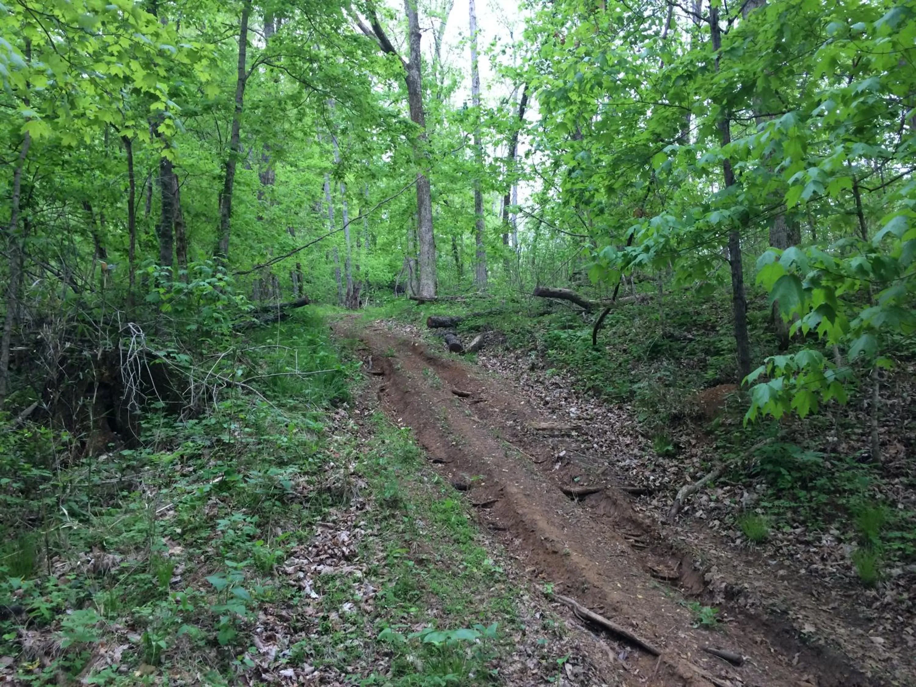 Day in Brenda Lee History 2BR Villa Pool Hot Tub
