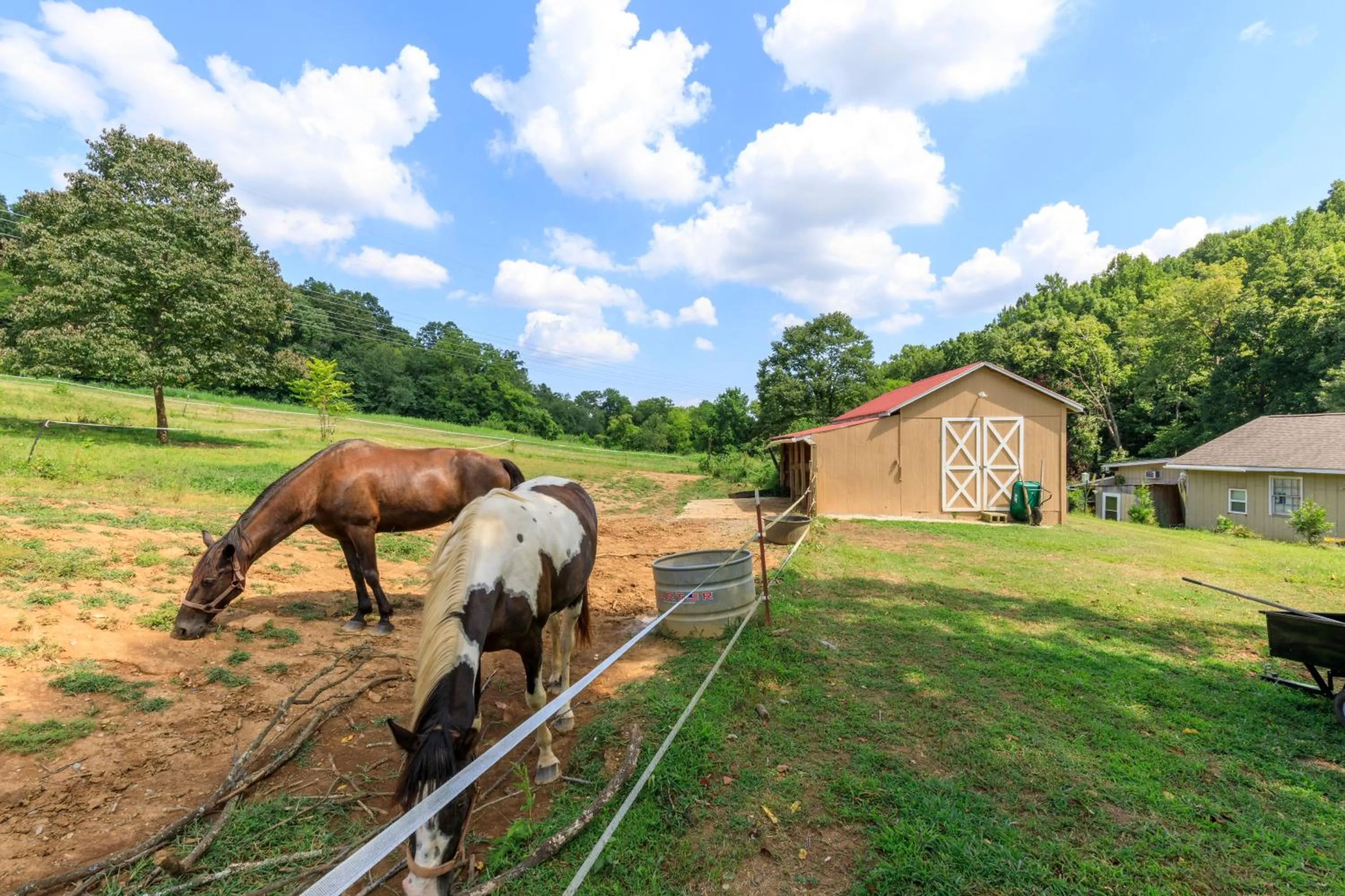 Animals in Brenda Lee History 2BR Villa Pool Hot Tub