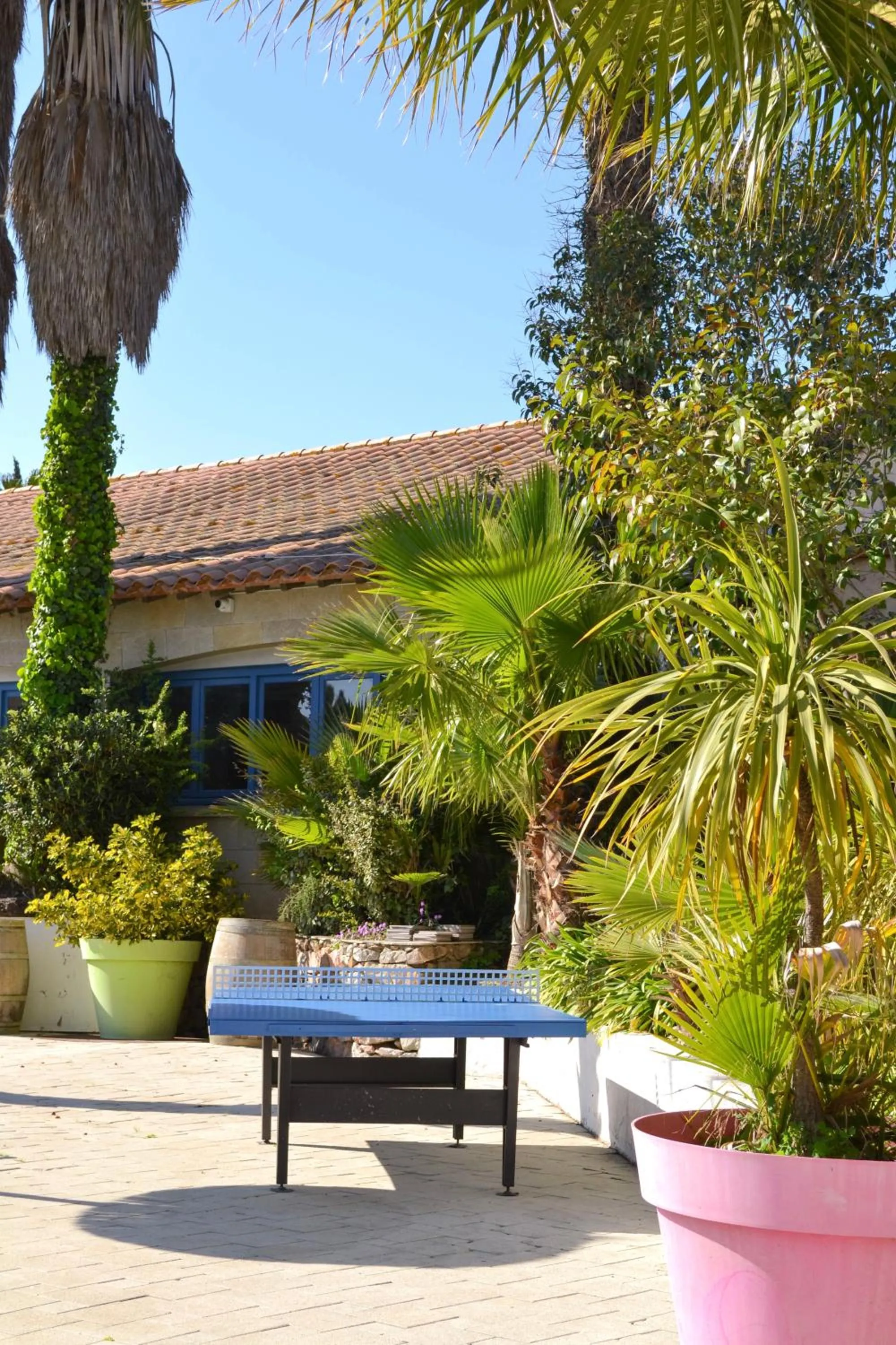 Table tennis in Malibu Village