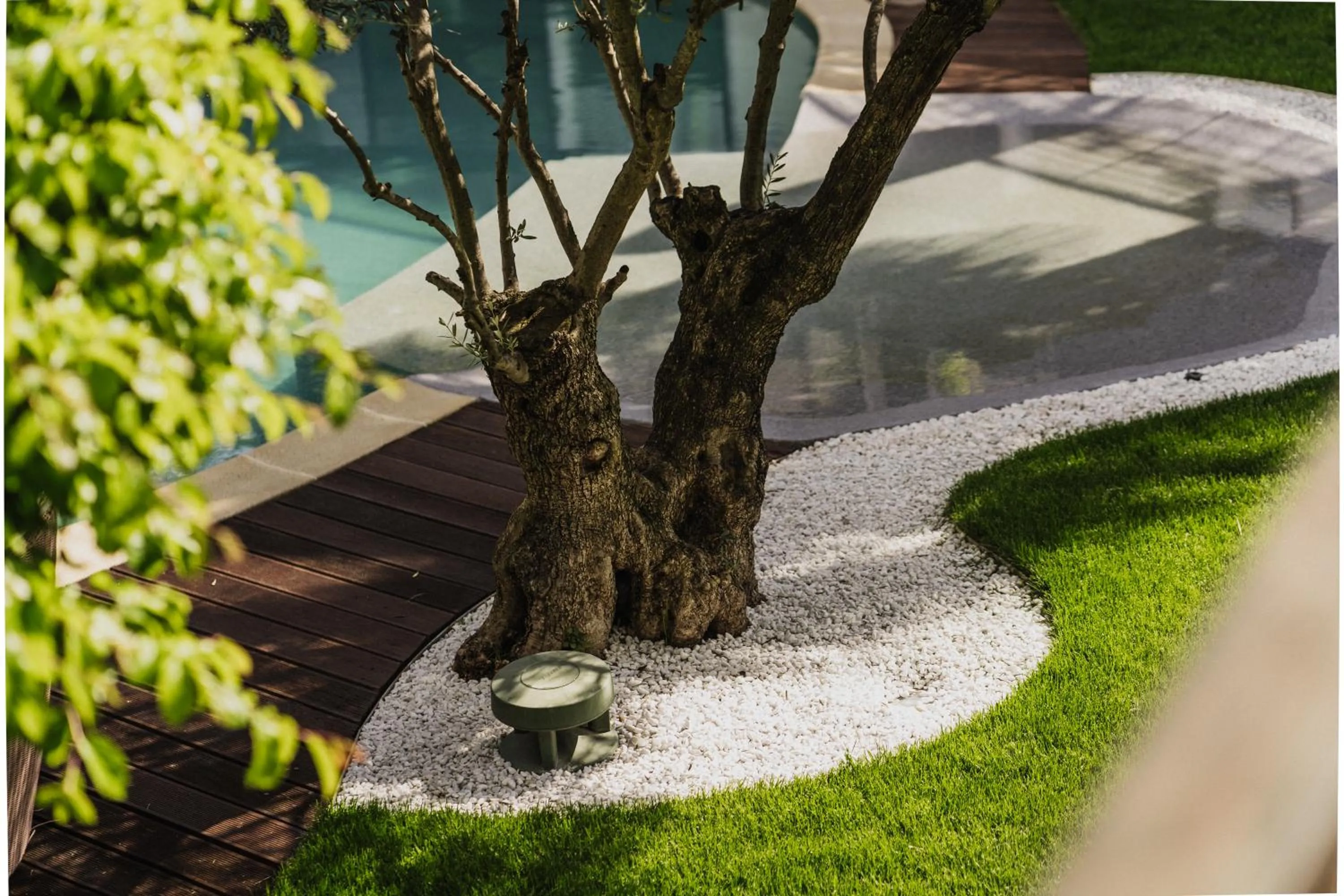 Garden in Hotel Mühlbacherhof