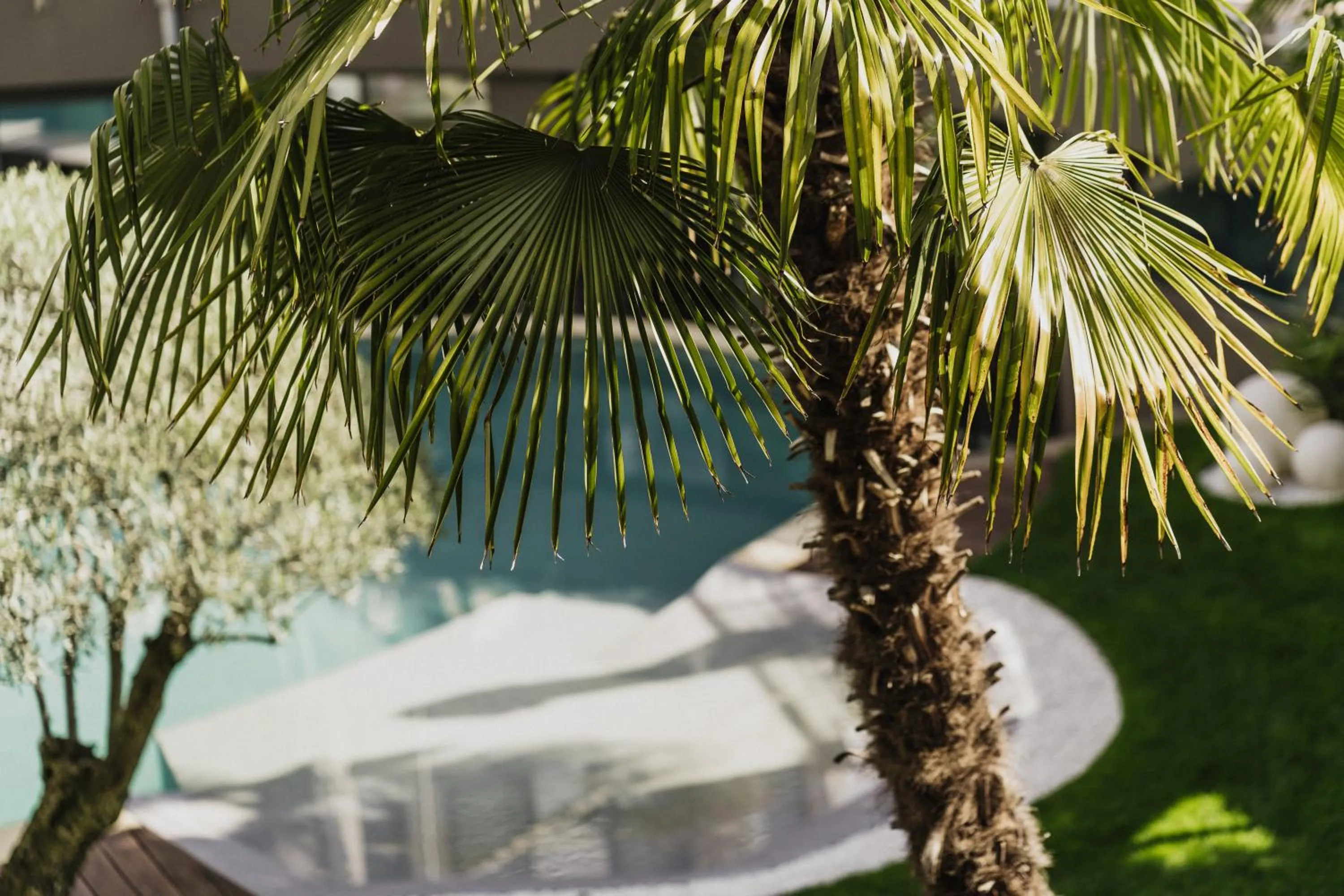 Swimming pool in Hotel Mühlbacherhof