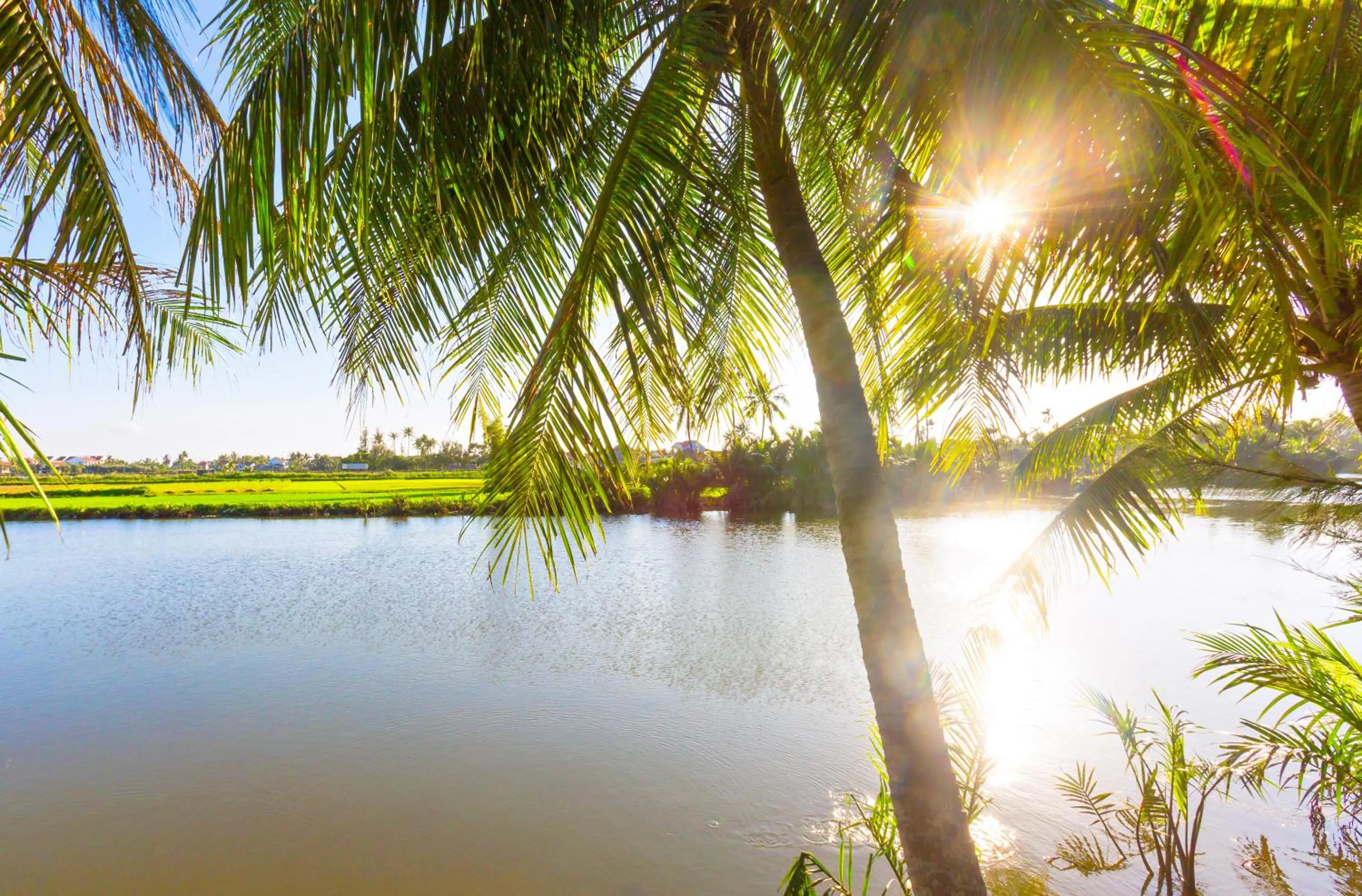 Natural landscape in Do River Homestay