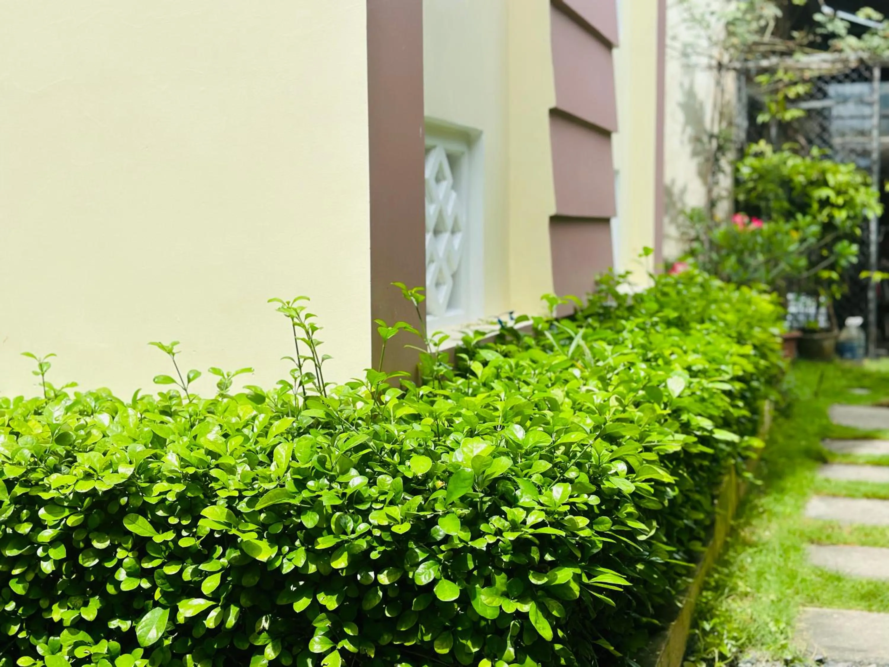 Spring in Do River Homestay