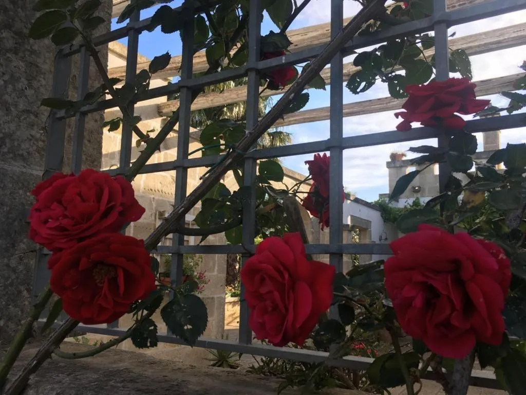 Garden in Corte dei Salentini