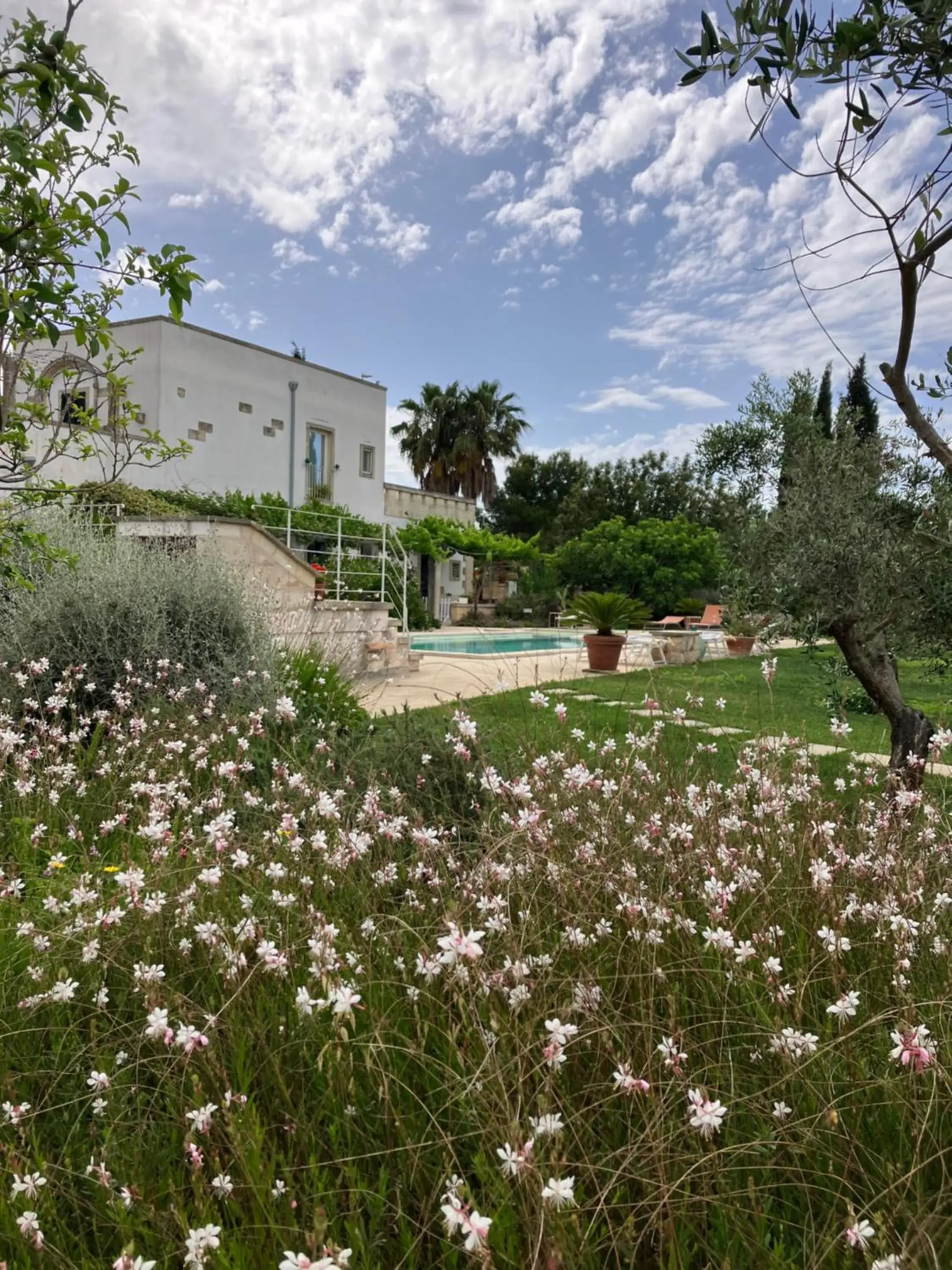 Deluxe Double Room with Extra Bed - single occupancy in Corte dei Salentini Deluxe Double Room with Extra Bed - single occupancy in Corte dei Salentini