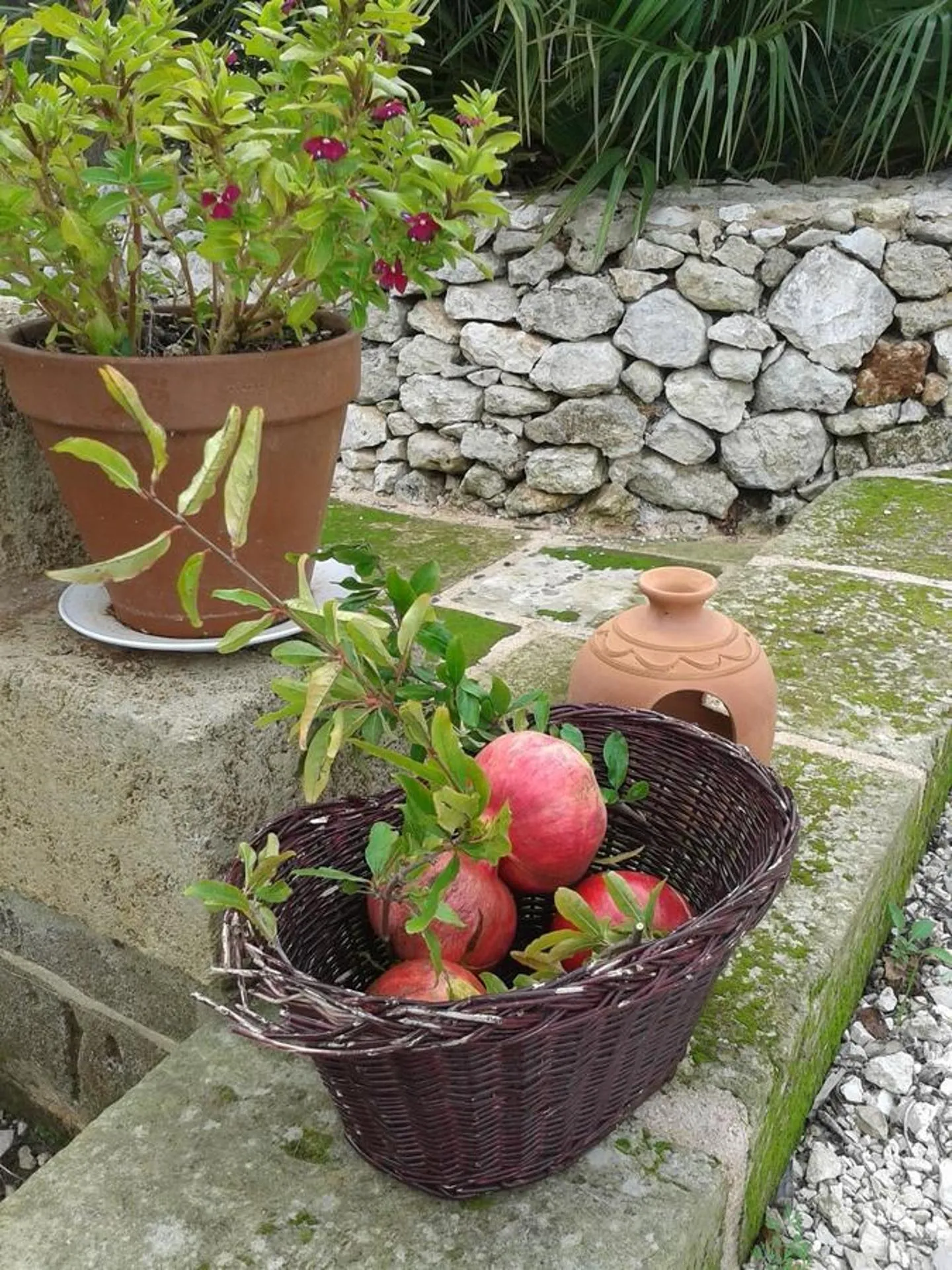 Garden view in Corte dei Salentini