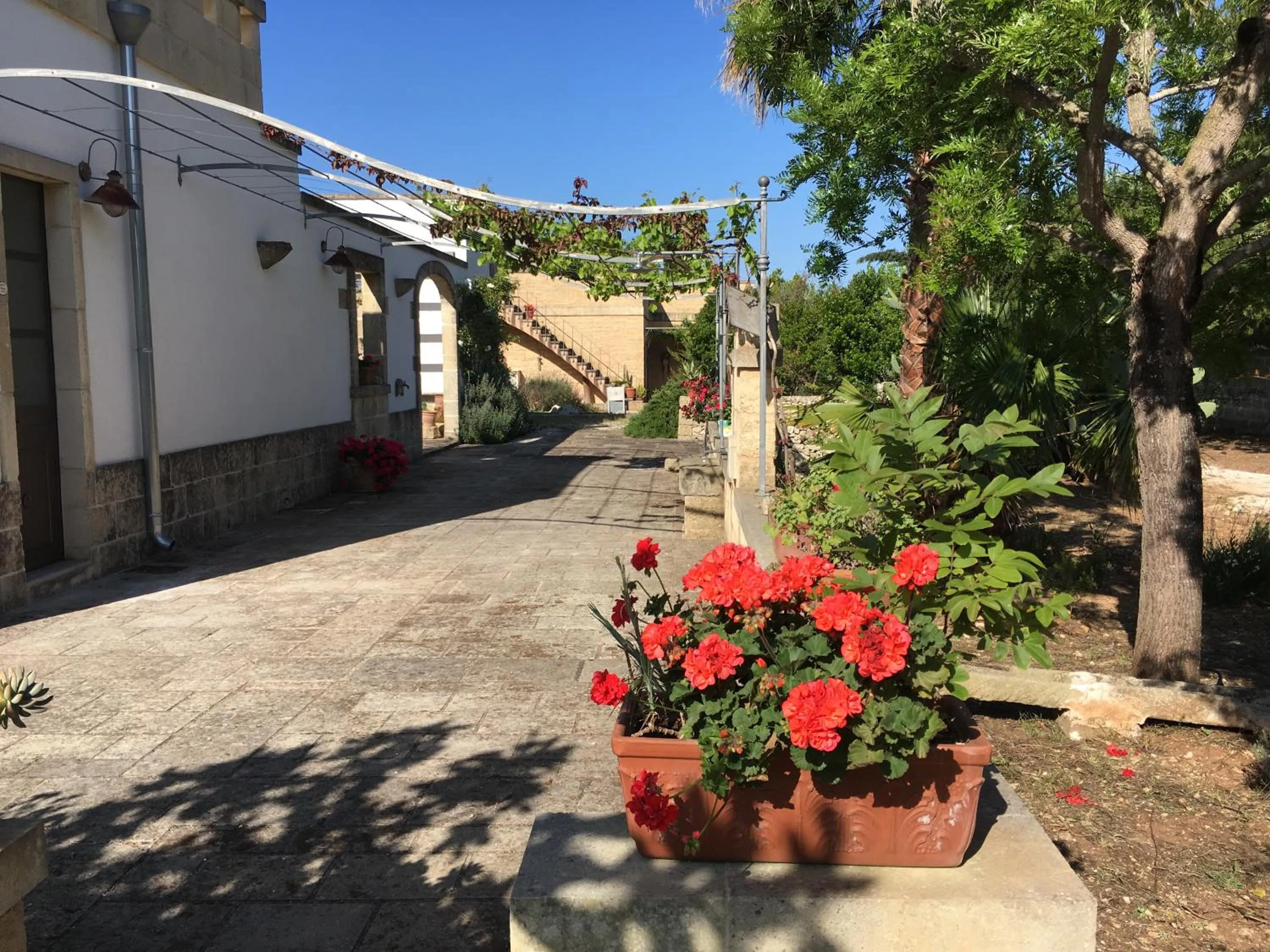 Garden in Corte dei Salentini