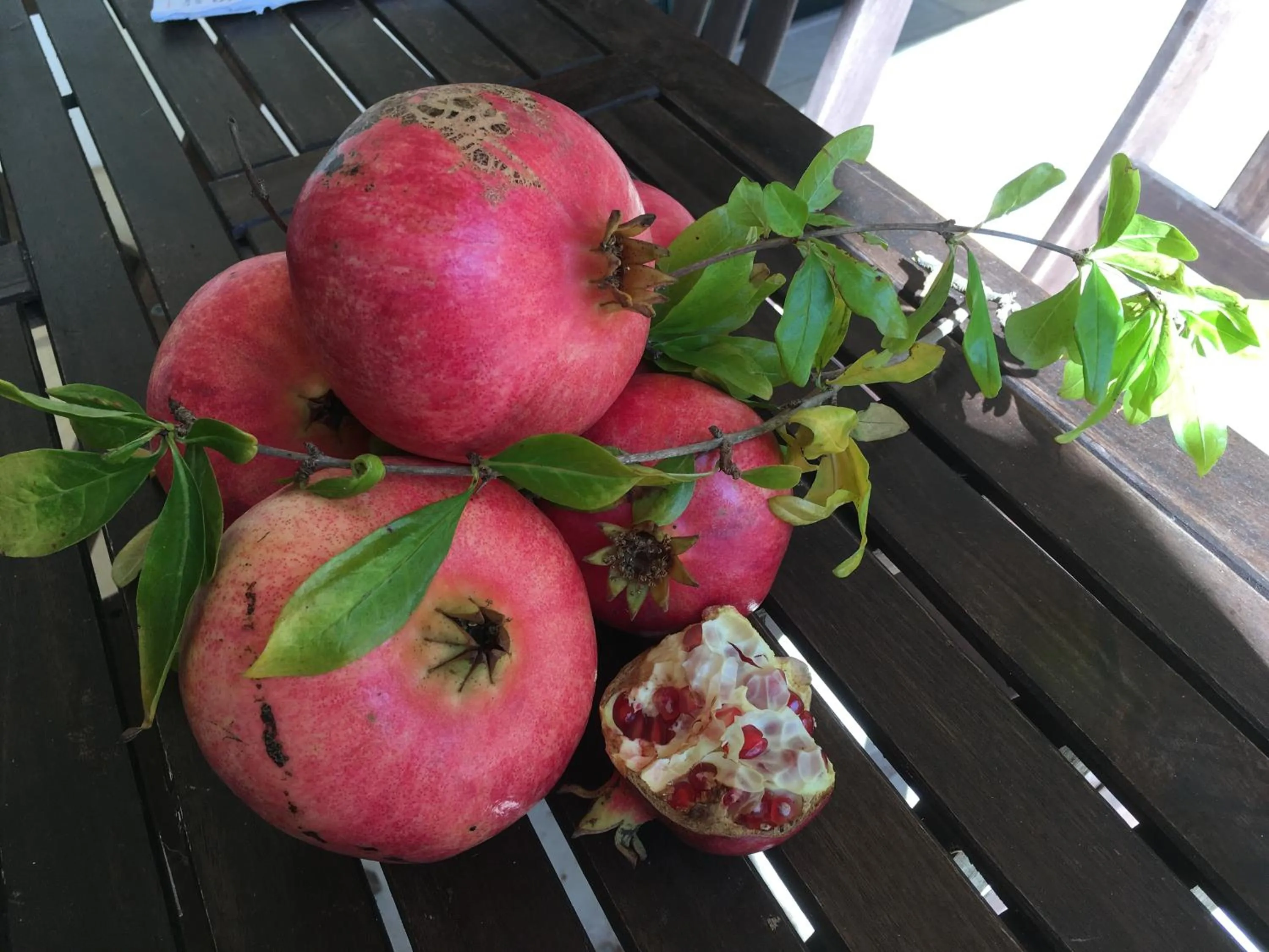 Food and drinks in Corte dei Salentini