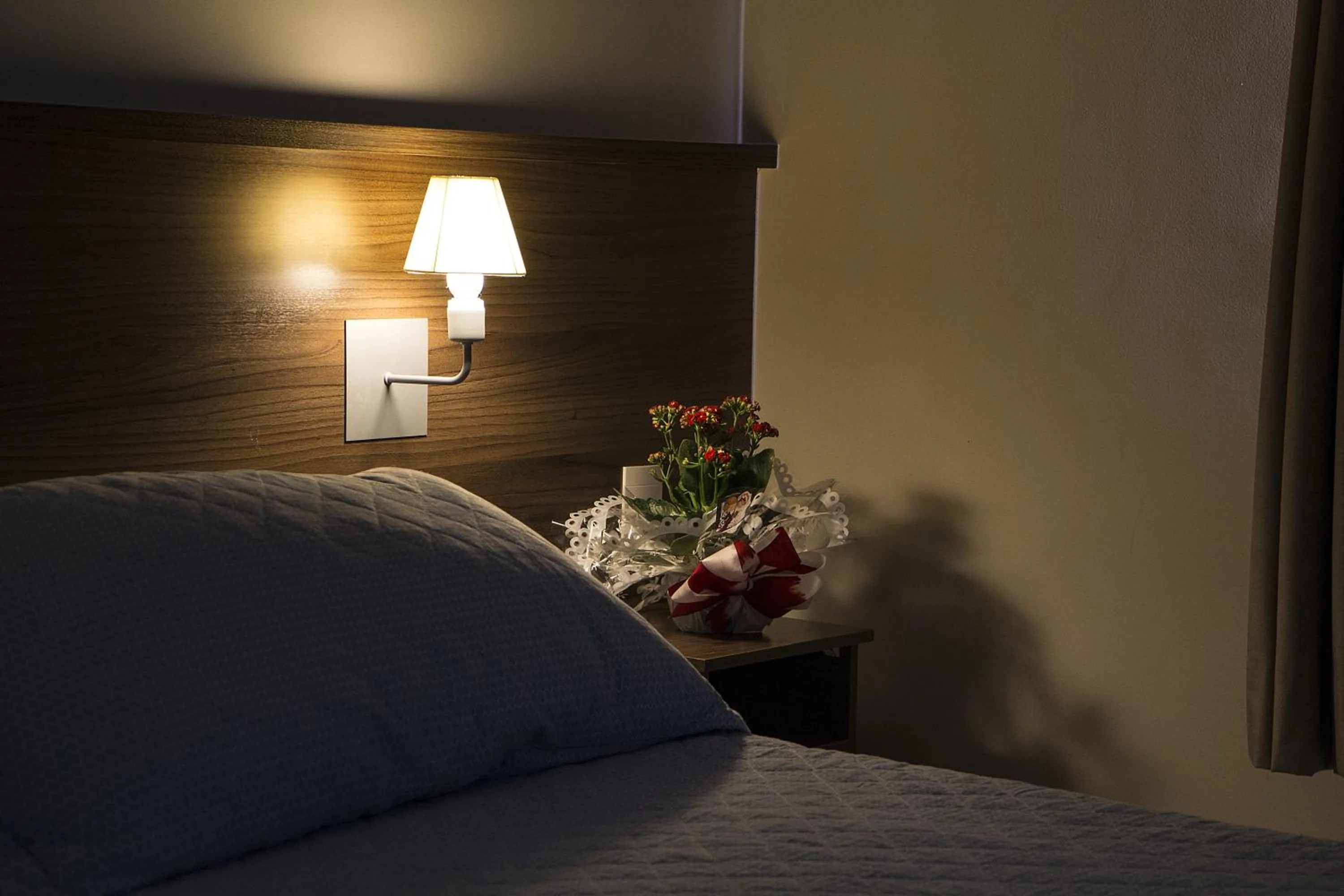 Photo of the whole room, Bed in JP Palace Hotel