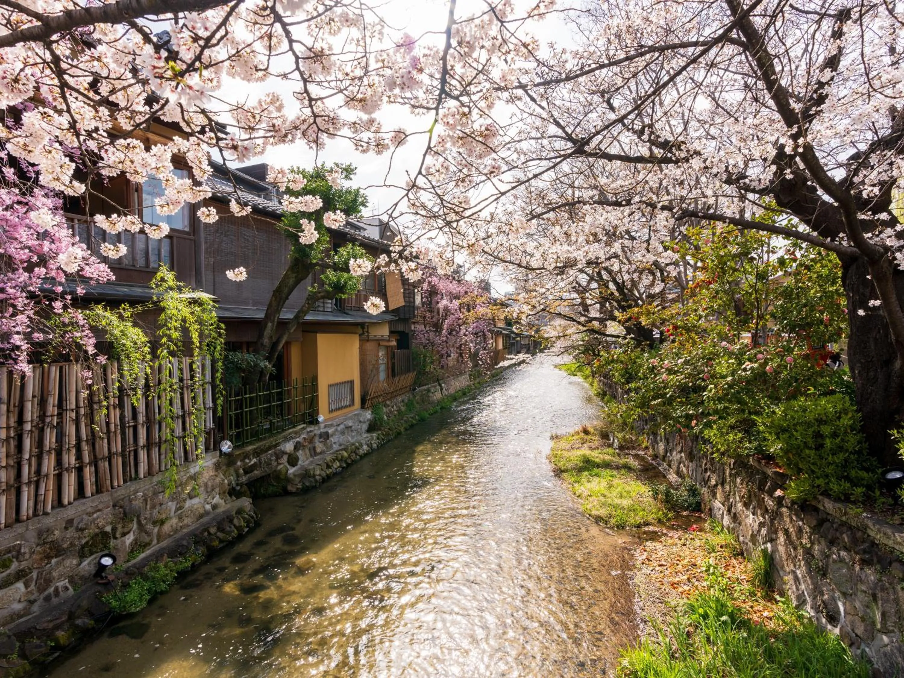 Spring in STITCH HOTEL Kyoto
