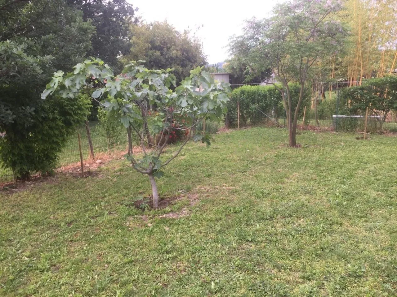 Spring in B&B San Giorgio