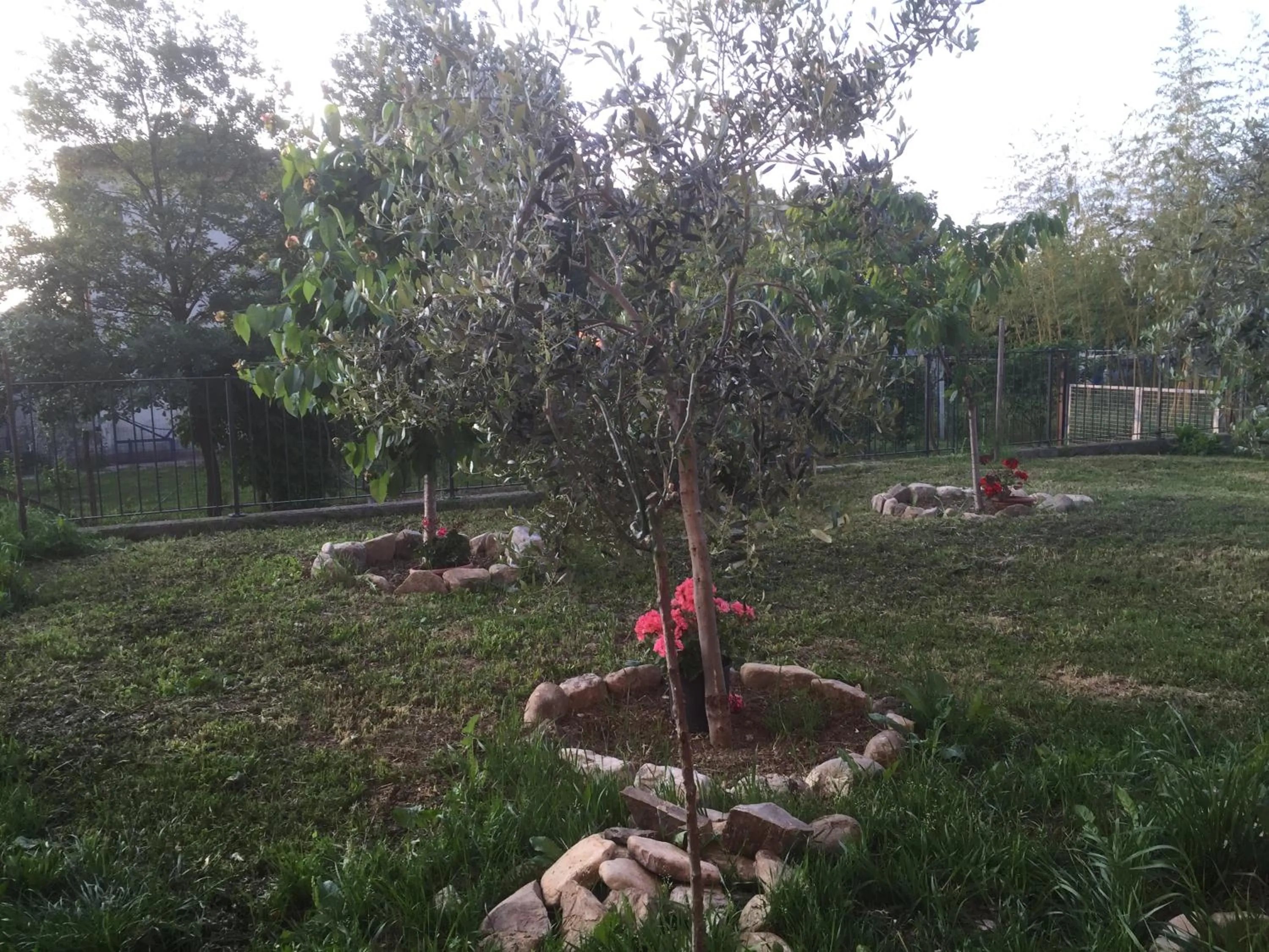 Facade/entrance in B&B San Giorgio