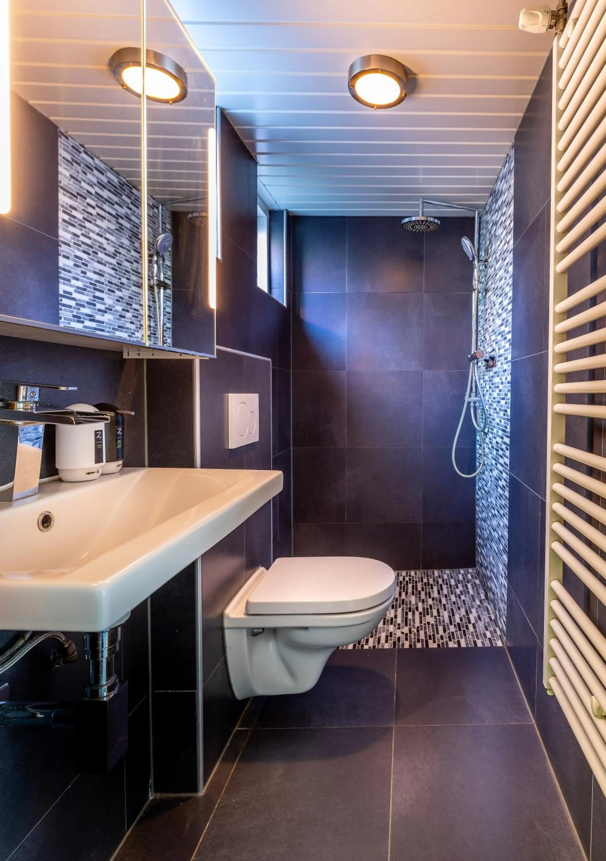 Shower in Hotel Domburg4you