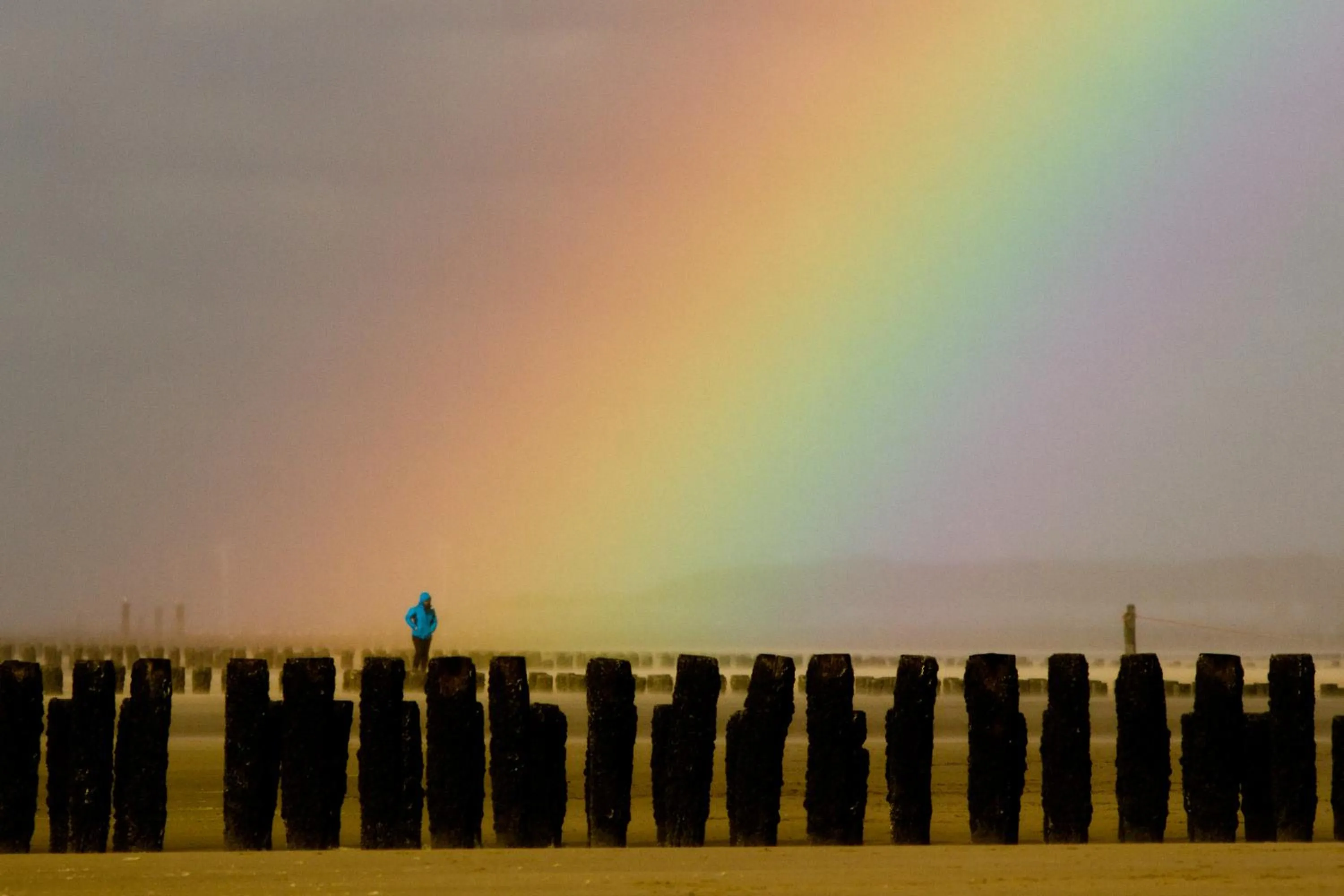 Natural landscape in Hotel Domburg4you