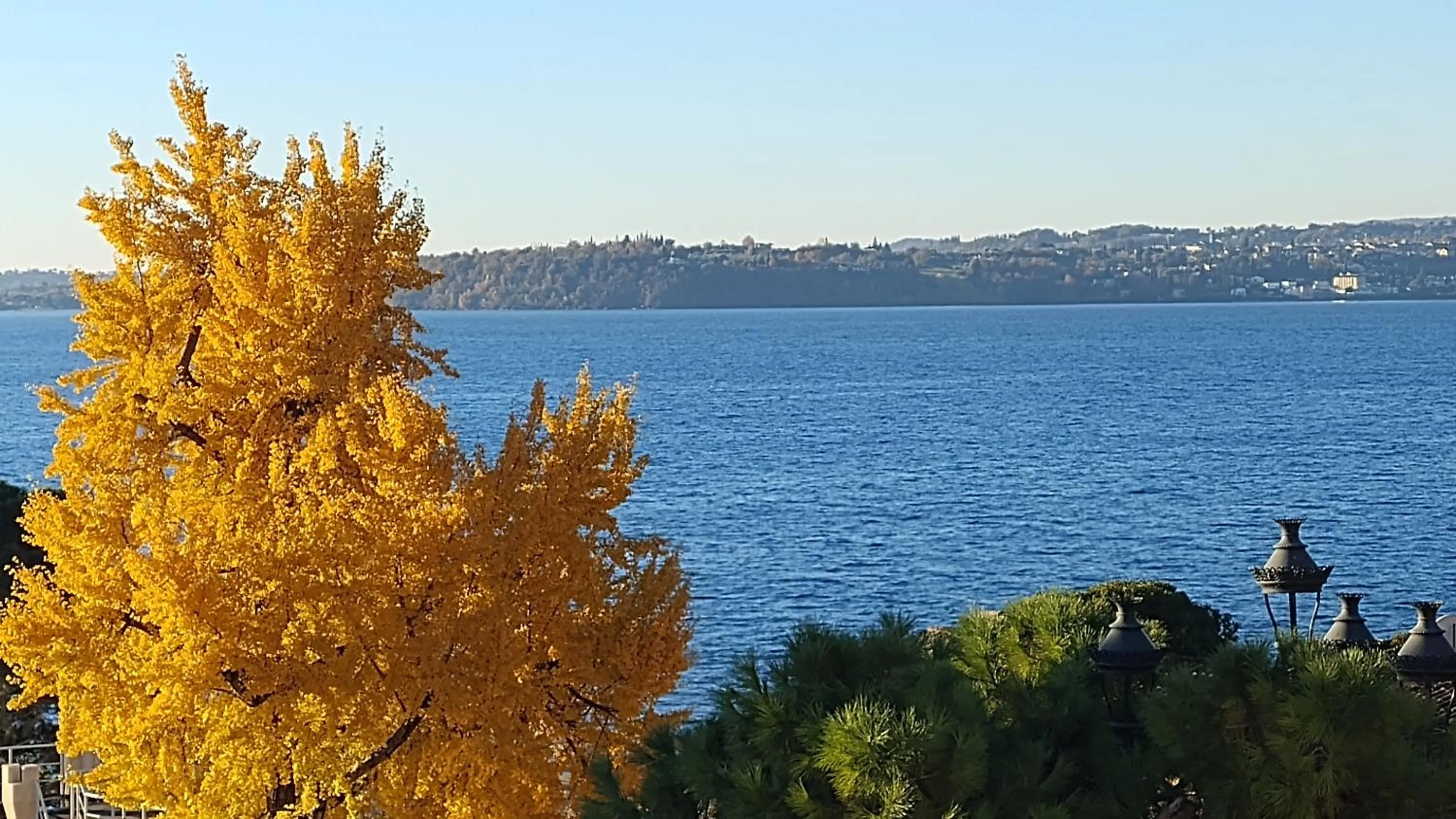 Natural landscape in B&B Agora'