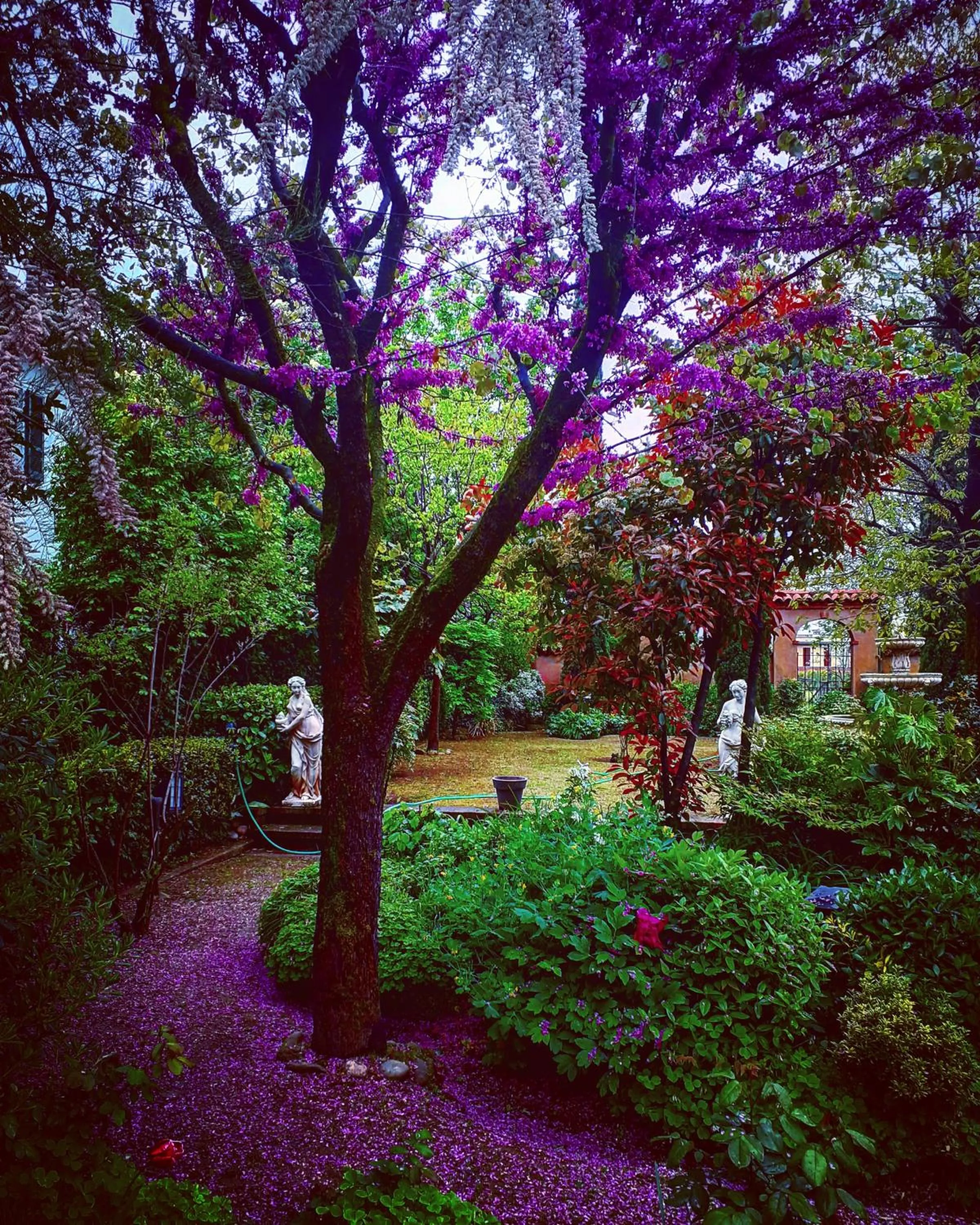 Garden in Cascina CORTEPRIMAVERA, B&B del Baliot