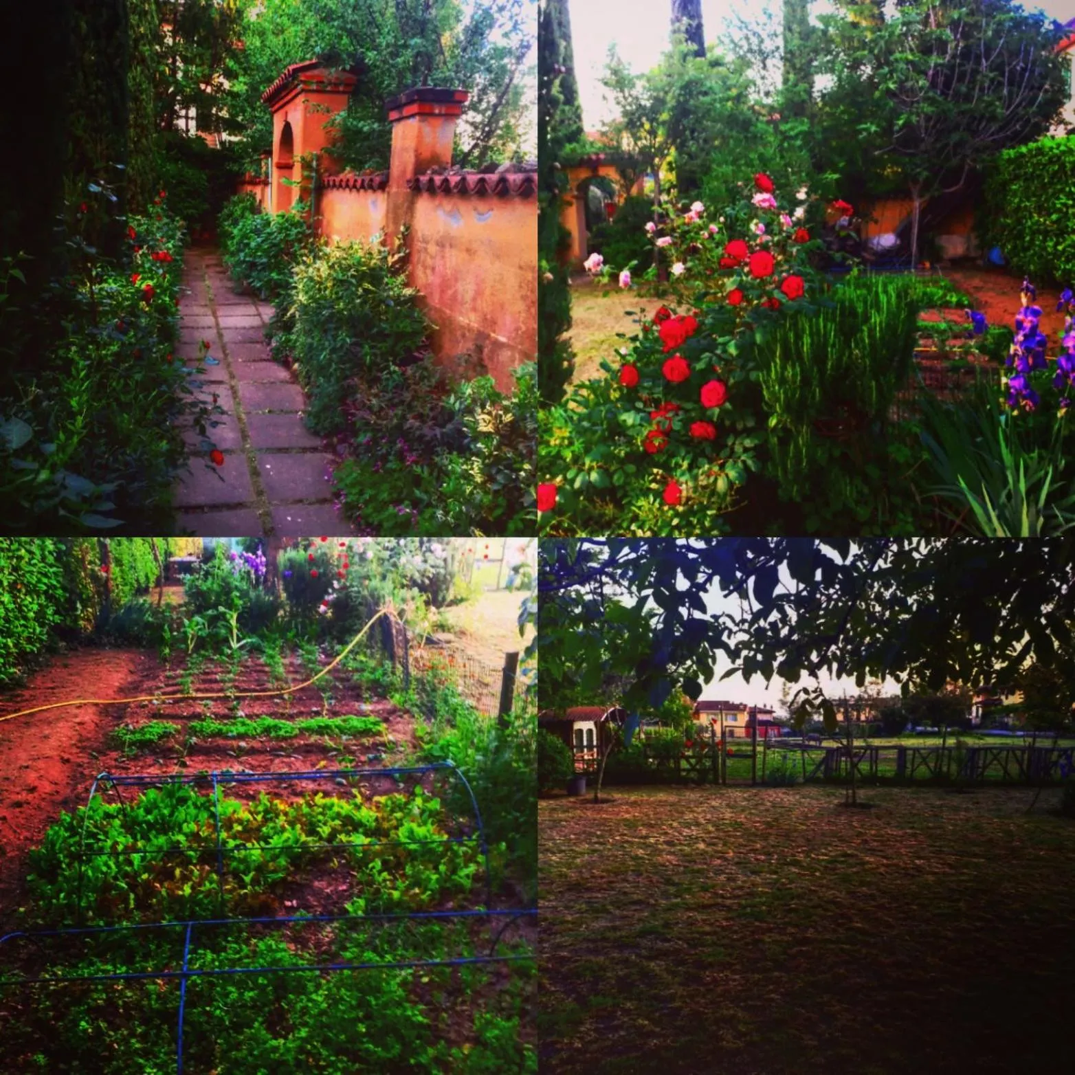 Garden in Cascina CORTEPRIMAVERA, B&B del Baliot