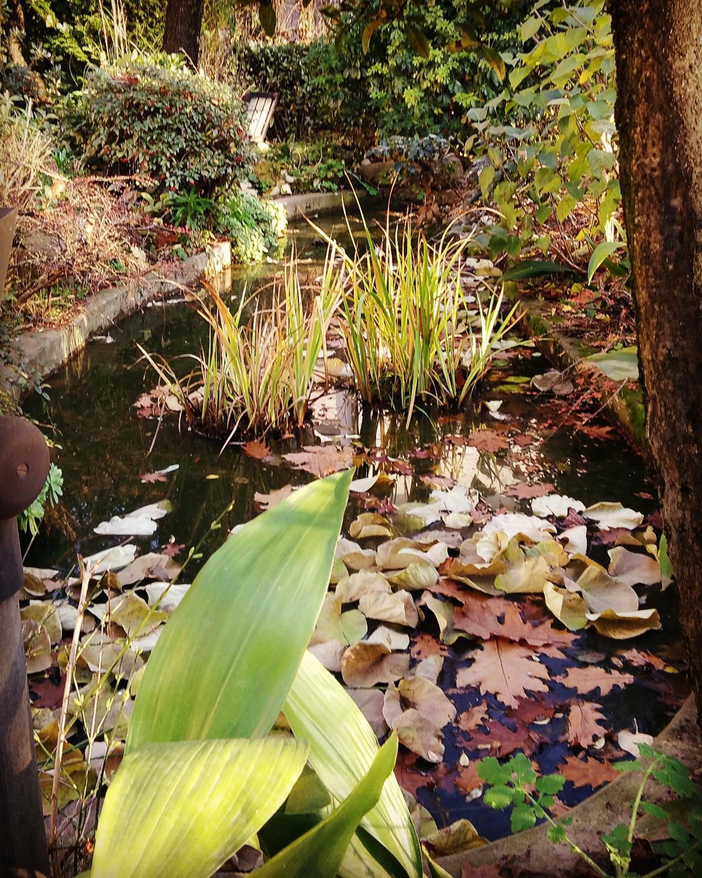 Garden in Cascina CORTEPRIMAVERA, B&B del Baliot