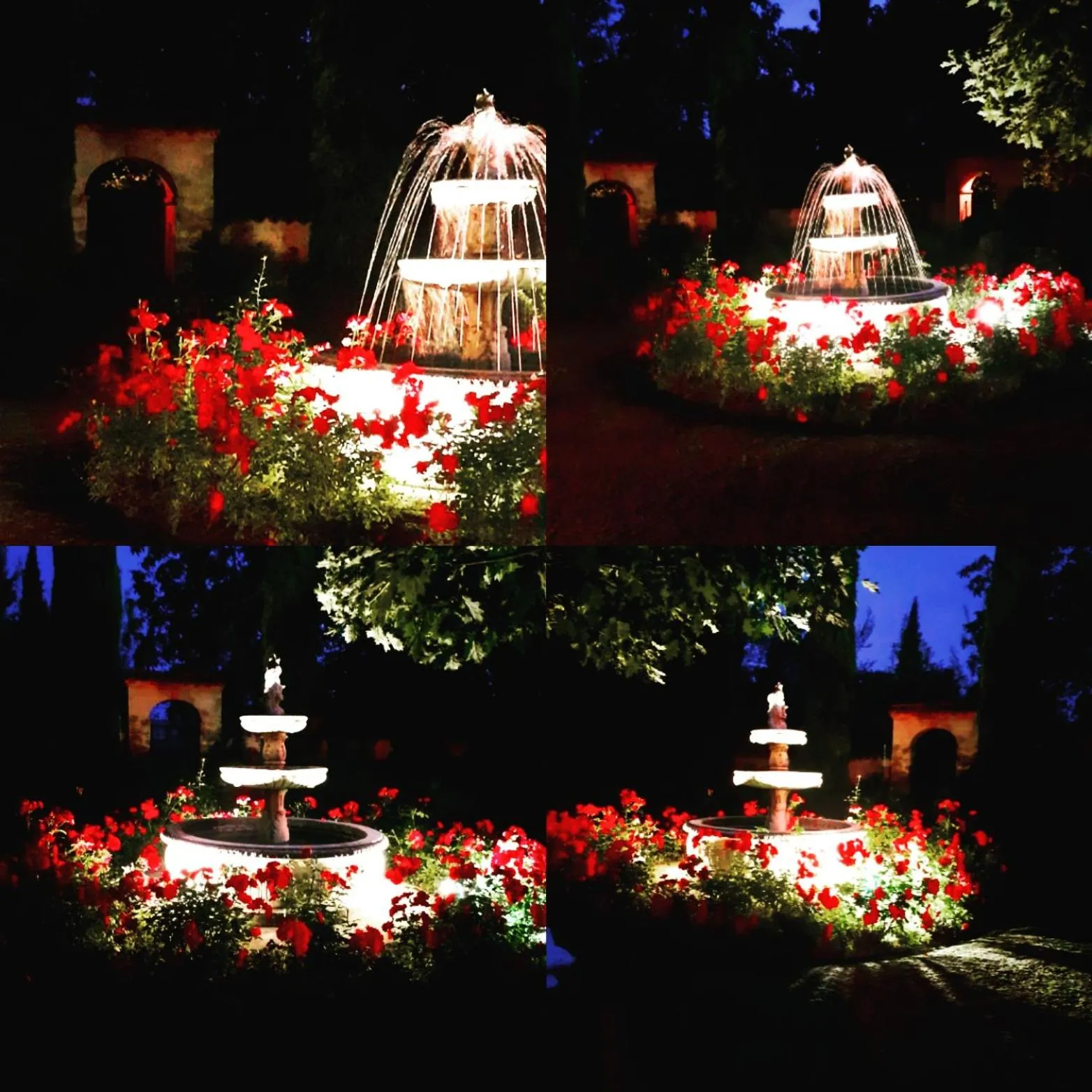 Garden in Cascina CORTEPRIMAVERA, B&B del Baliot