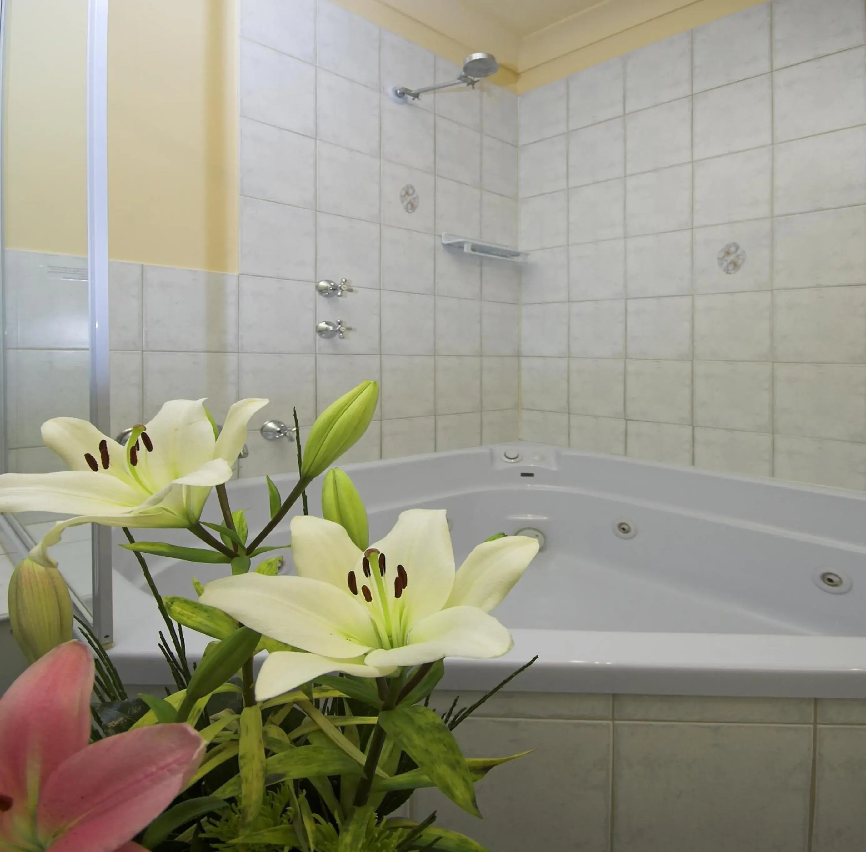 Bathroom in Victoria Hotel Strathalbyn Bathroom in Victoria Hotel Strathalbyn