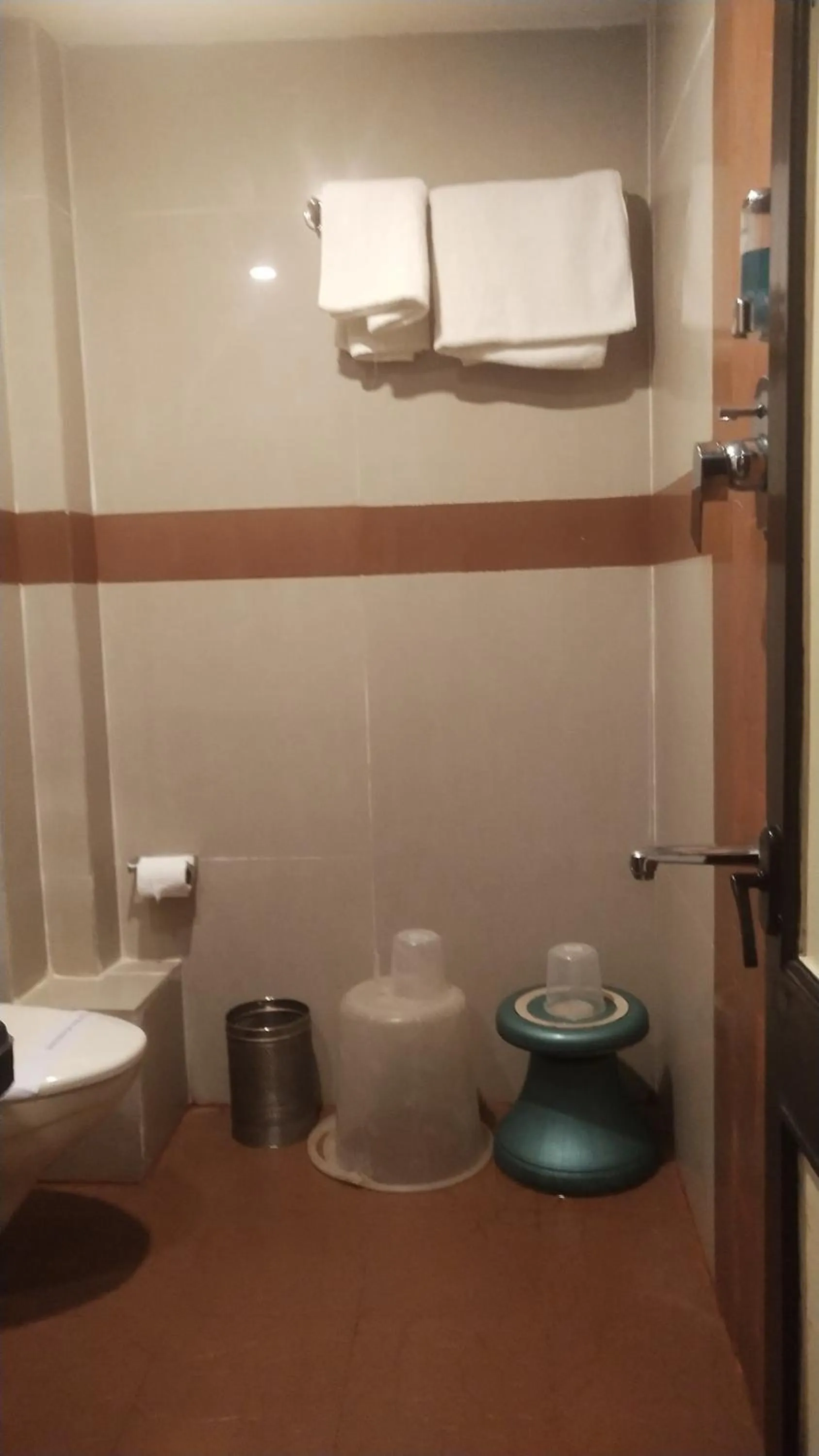 Toilet in Hotel Rishi Regency