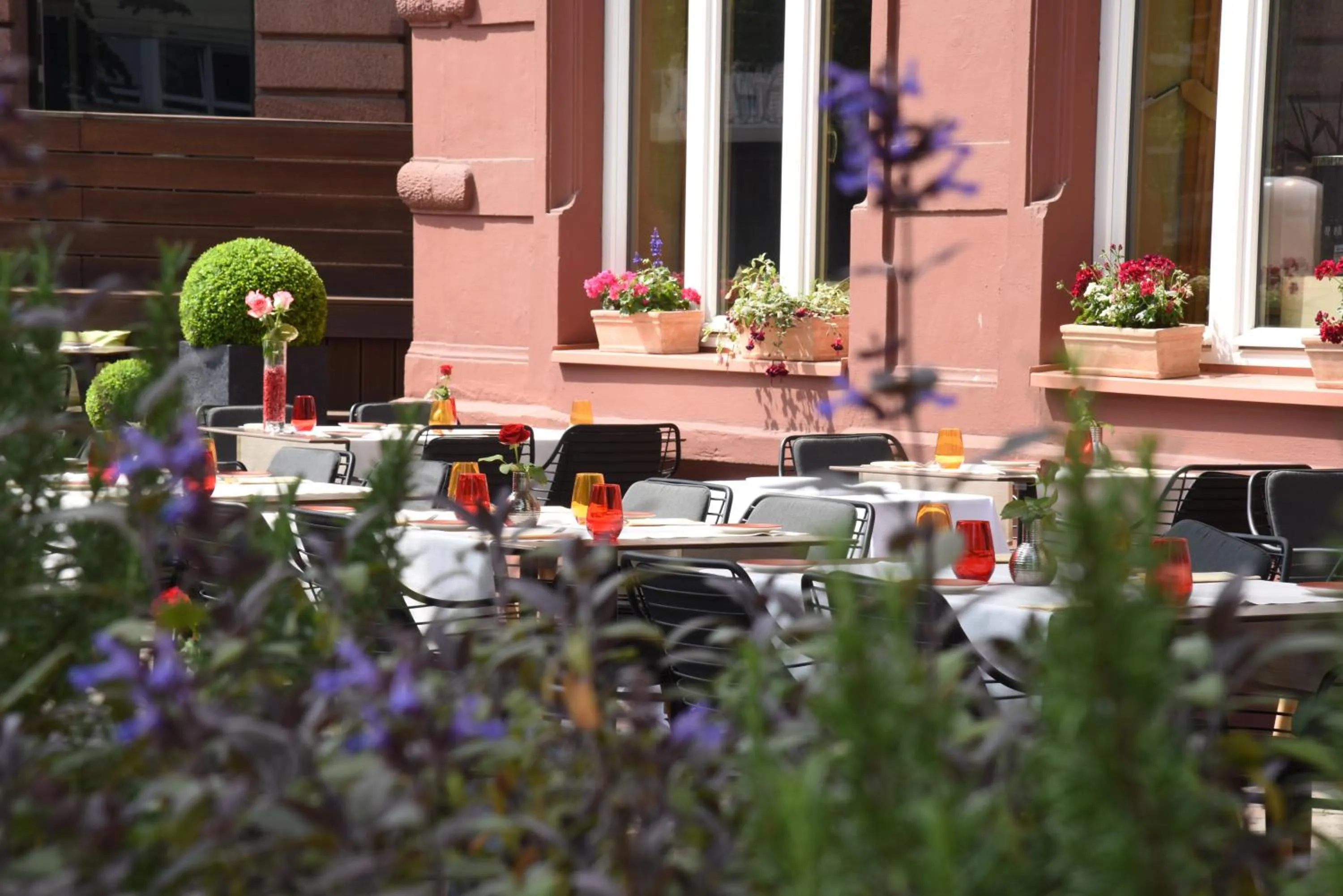 Balcony/Terrace in Kleiner Rosengarten