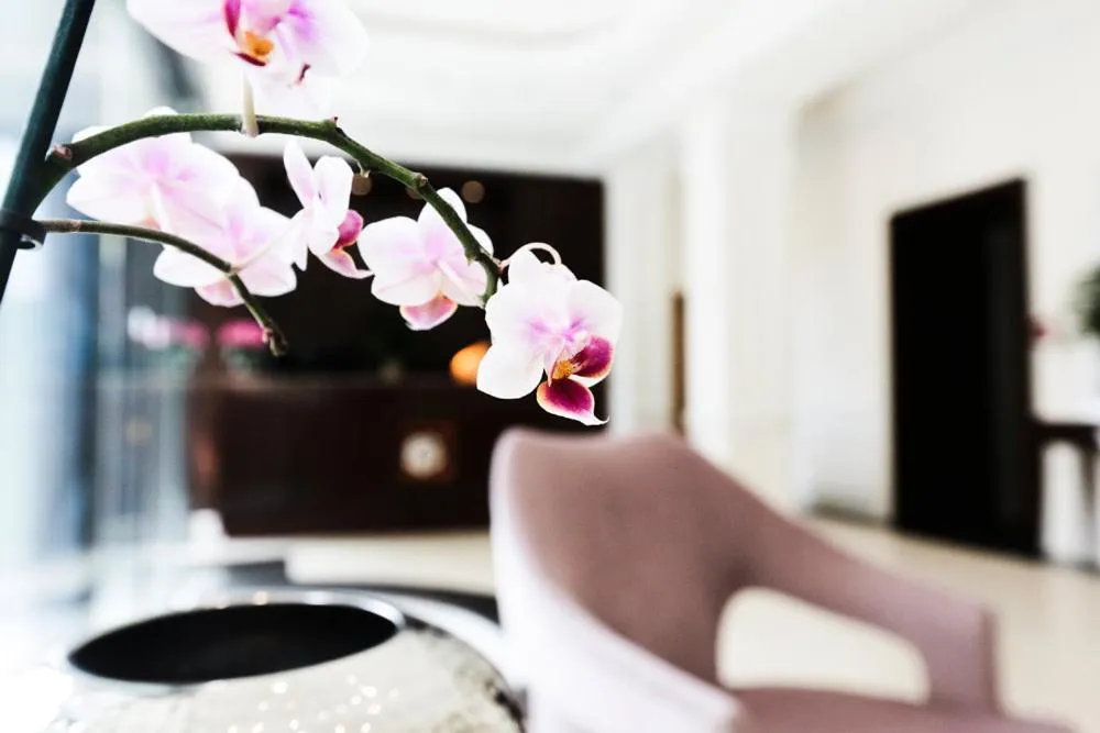 Lobby or reception in Kleiner Rosengarten